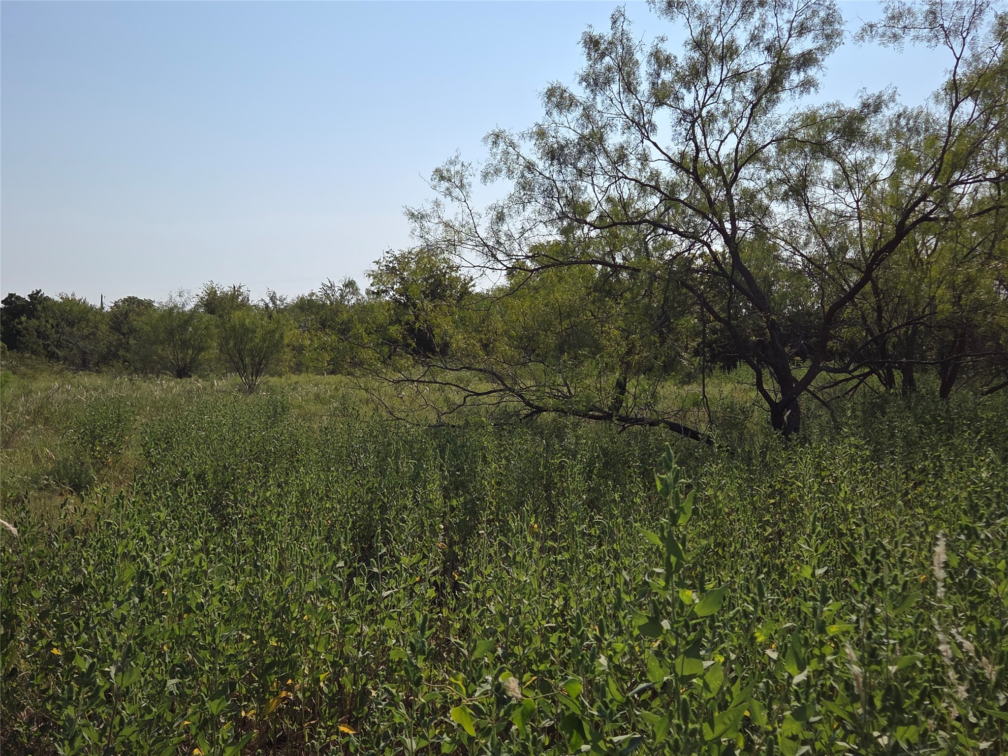 Lot 3 Old Peninsula Trail