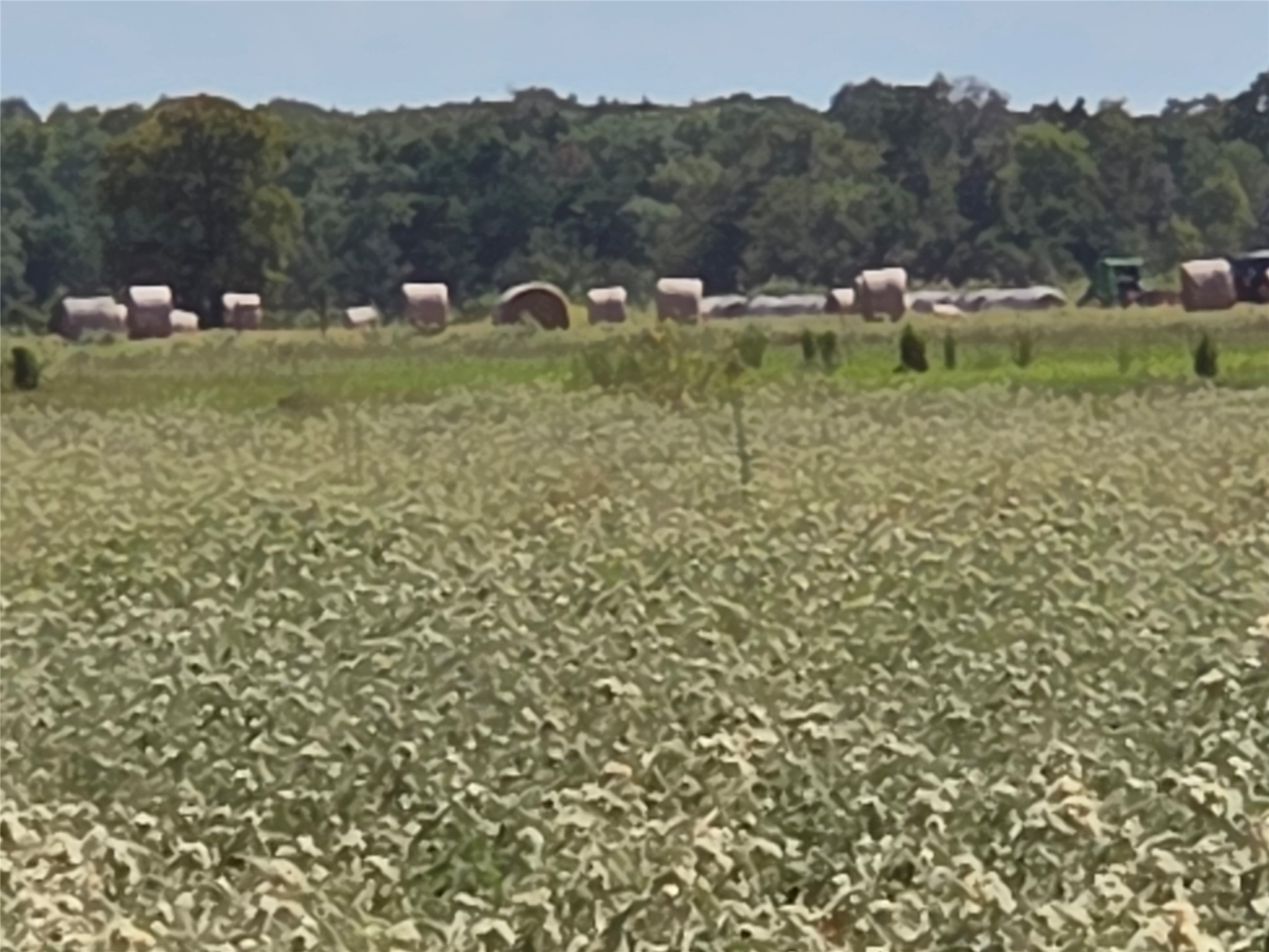 510 County Road 3150