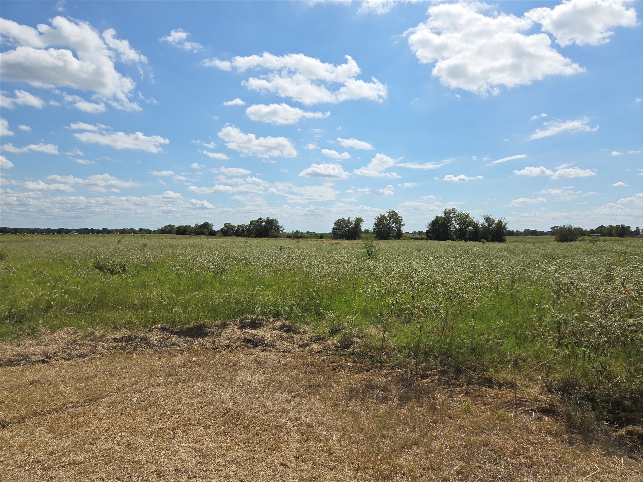 510 County Road 3150