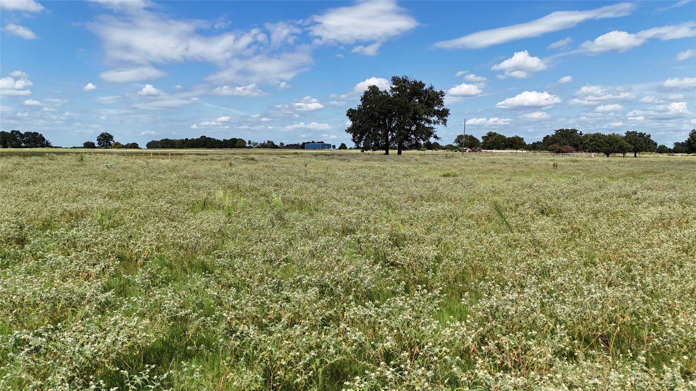 510 County Road 3150