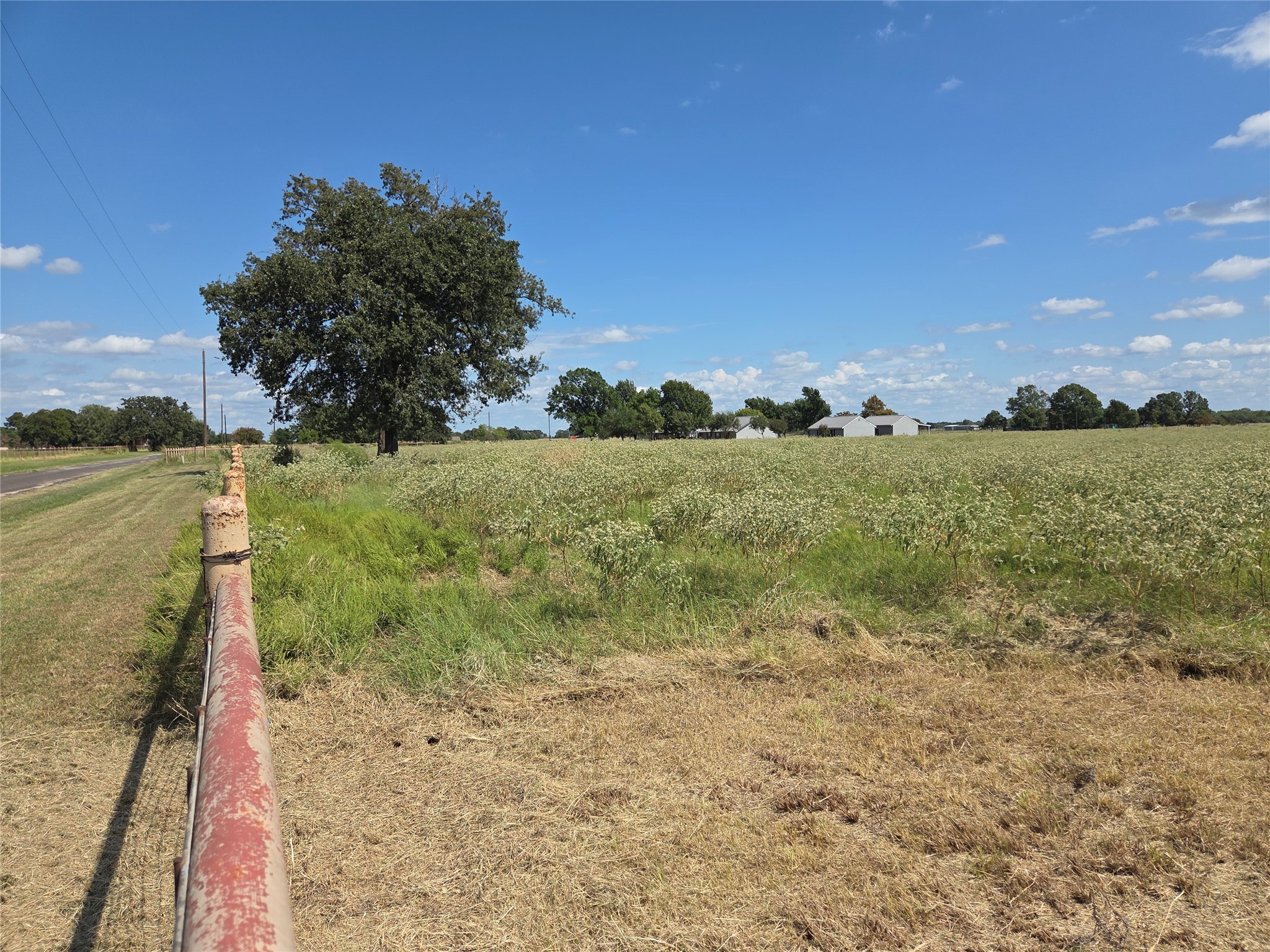 510 County Road 3150