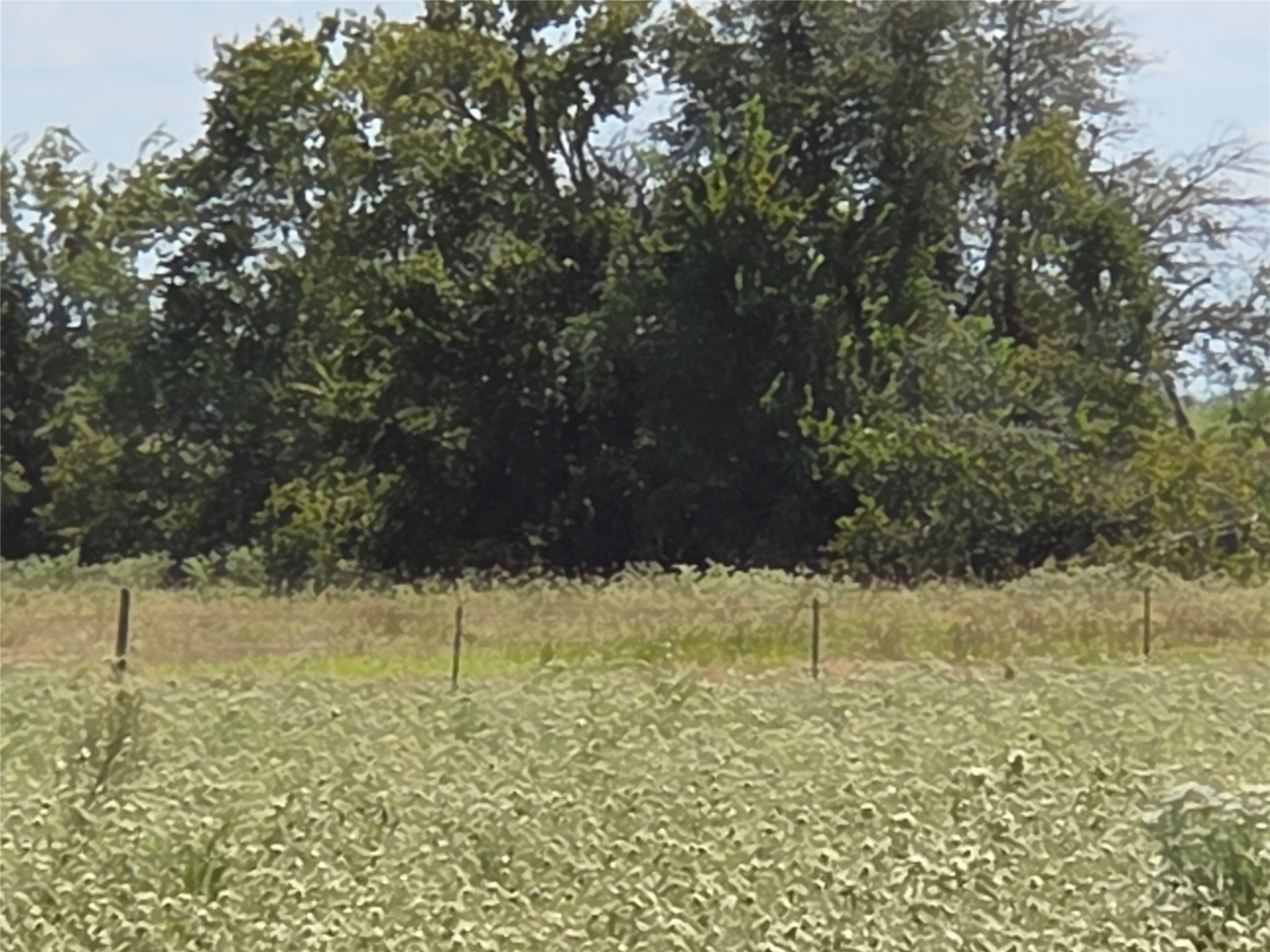 510 County Road 3150