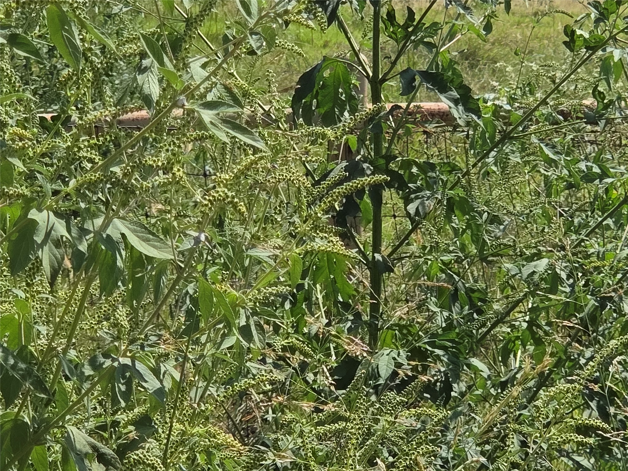 510 County Road 3150