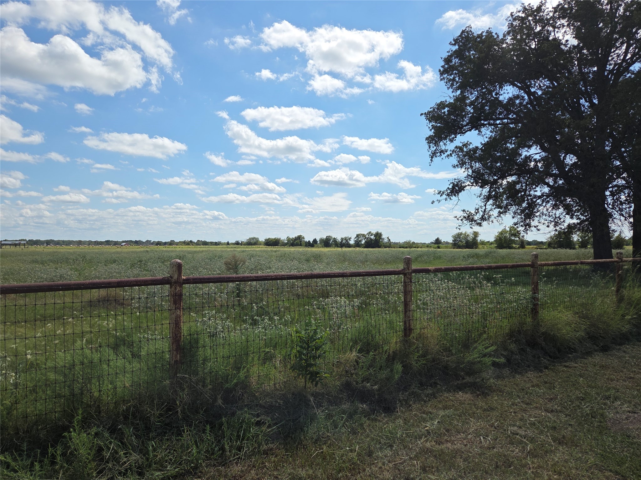 510 County Road 3150