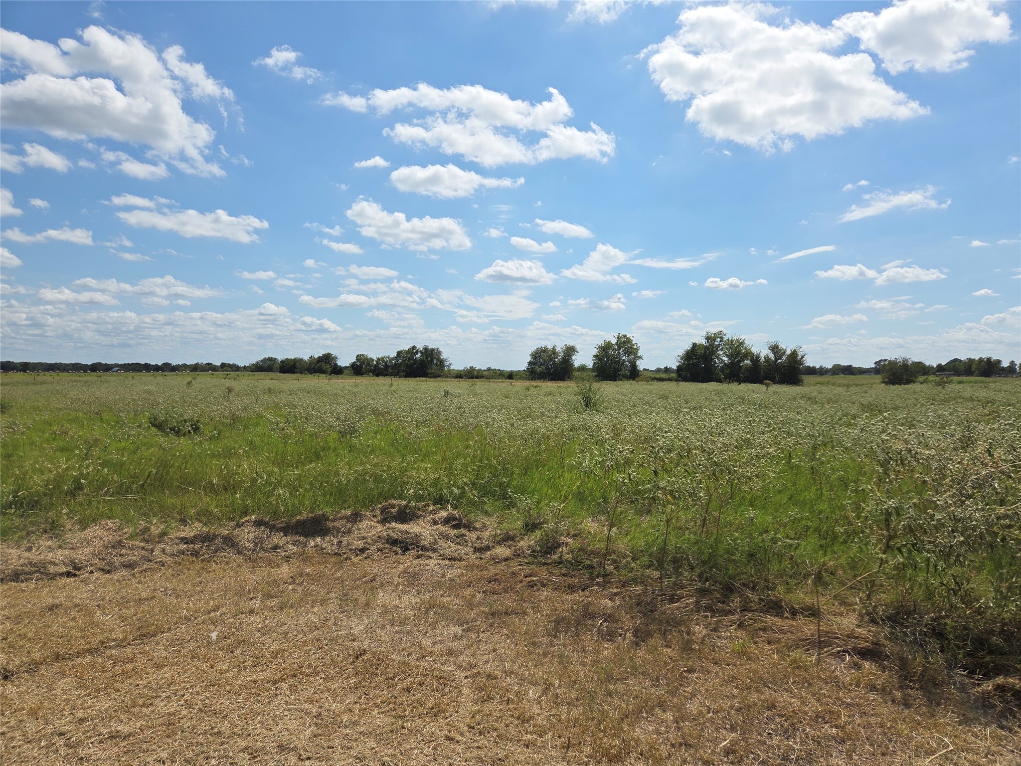 510 County Road 3150