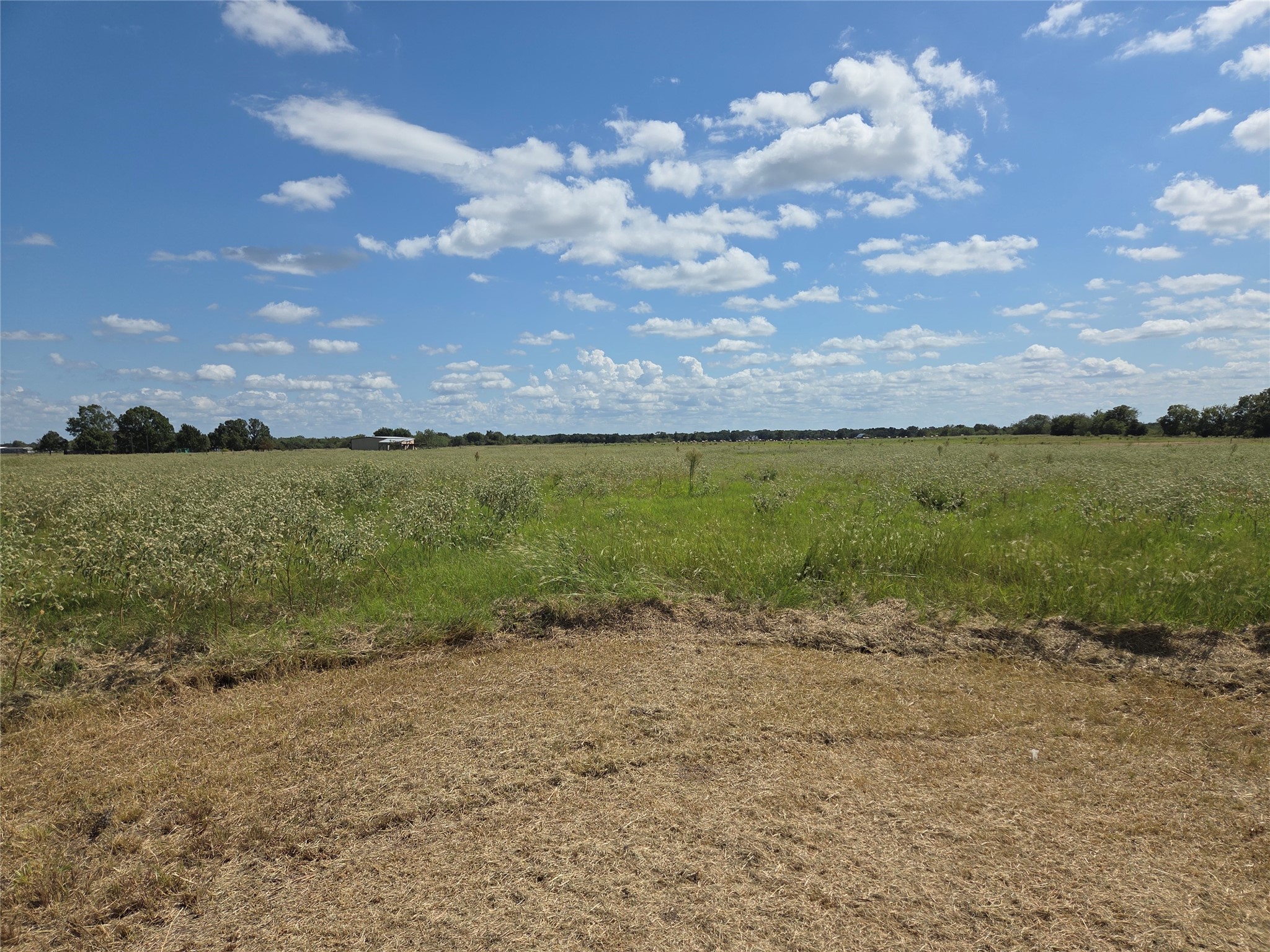 510 County Road 3150