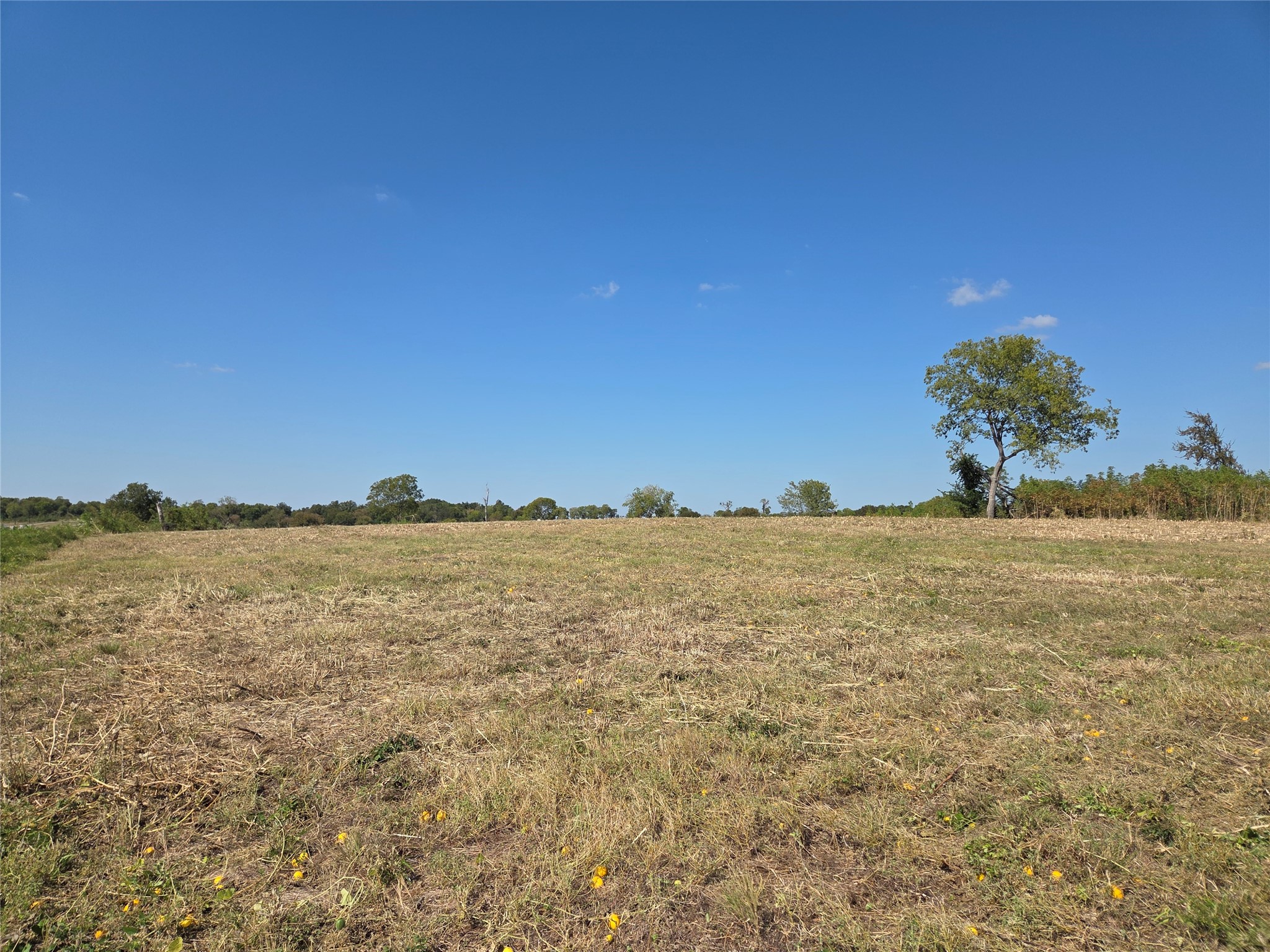 Lot 7 with BS #15 Vista Pointe Drive
