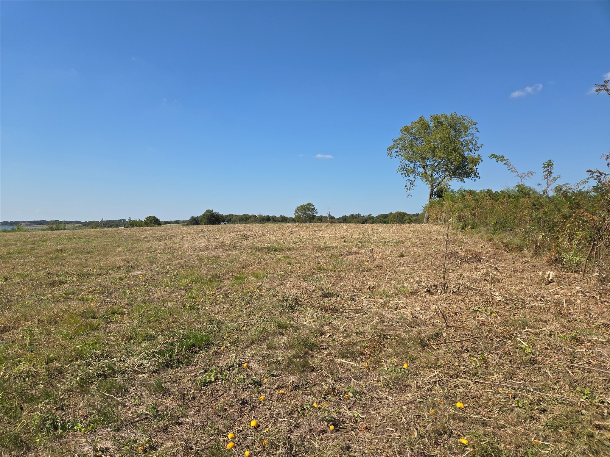 Lot 7 with BS #15 Vista Pointe Drive