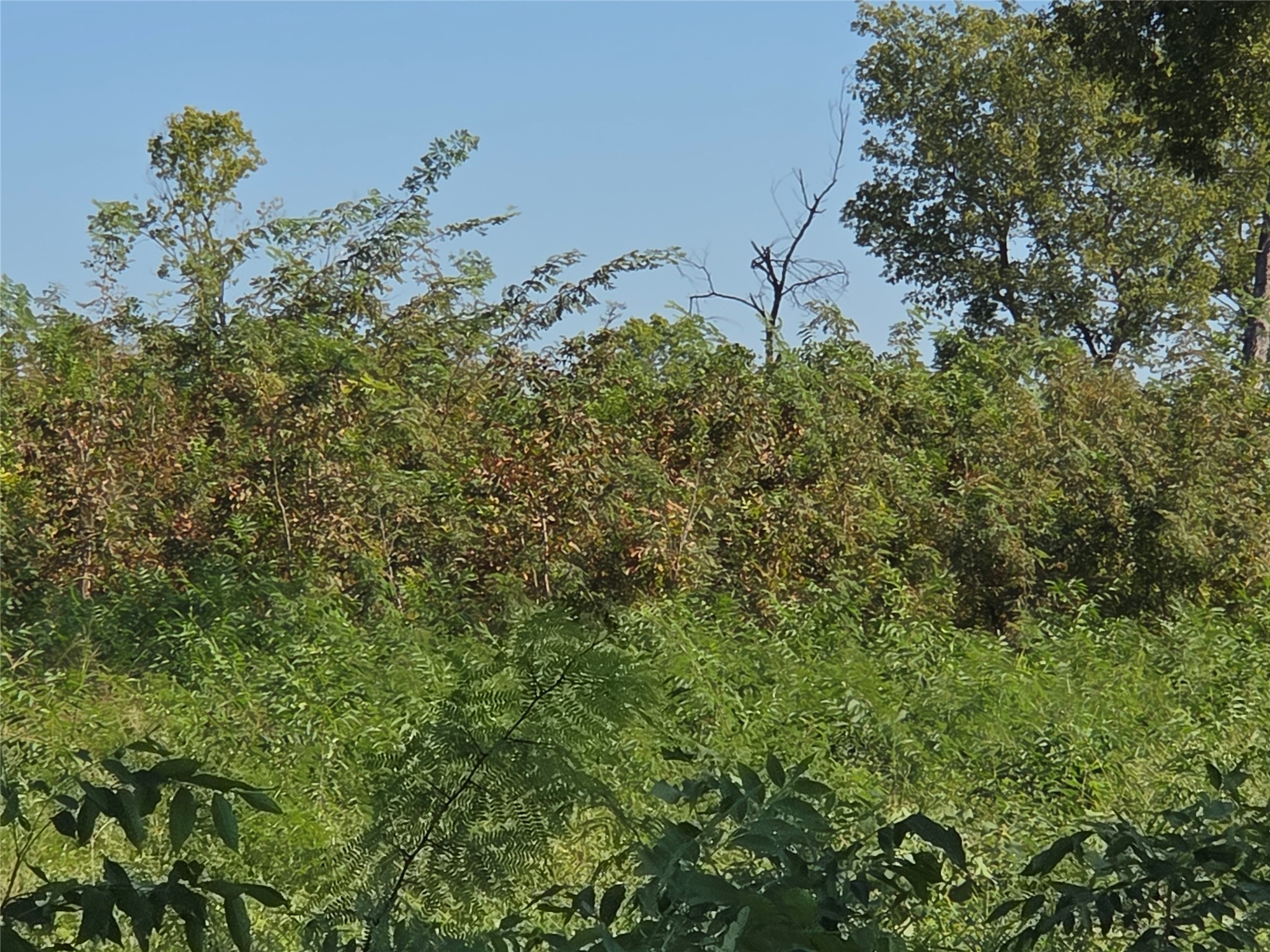 Lot 7 with BS #15 Vista Pointe Drive