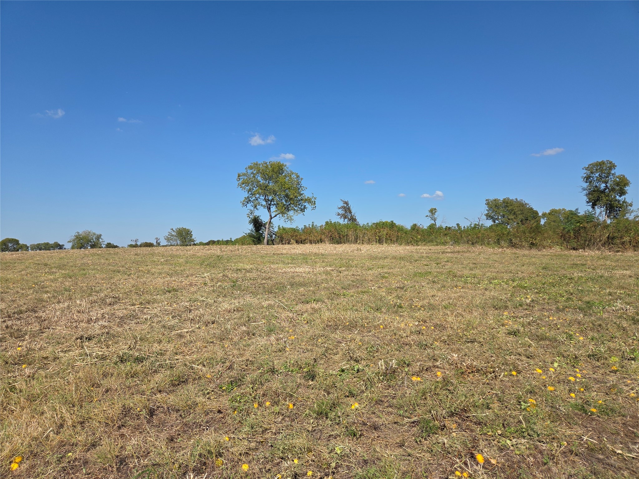Lot 7 with BS #15 Vista Pointe Drive