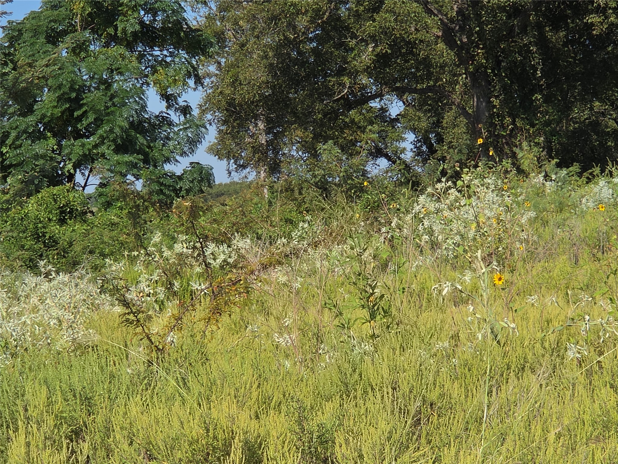 Lot 59 Bridgewater Boulevard