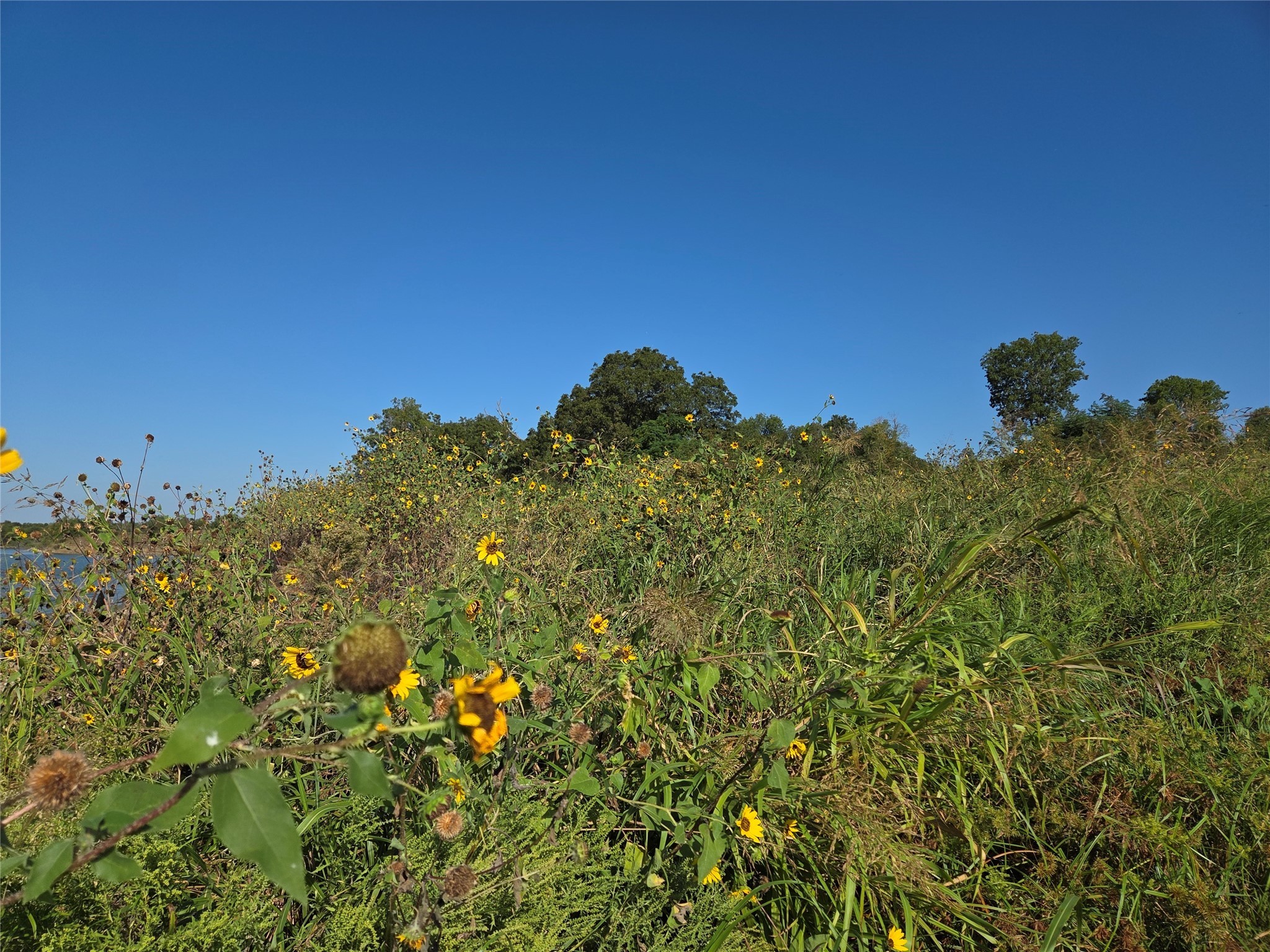 Lot 59 Bridgewater Boulevard