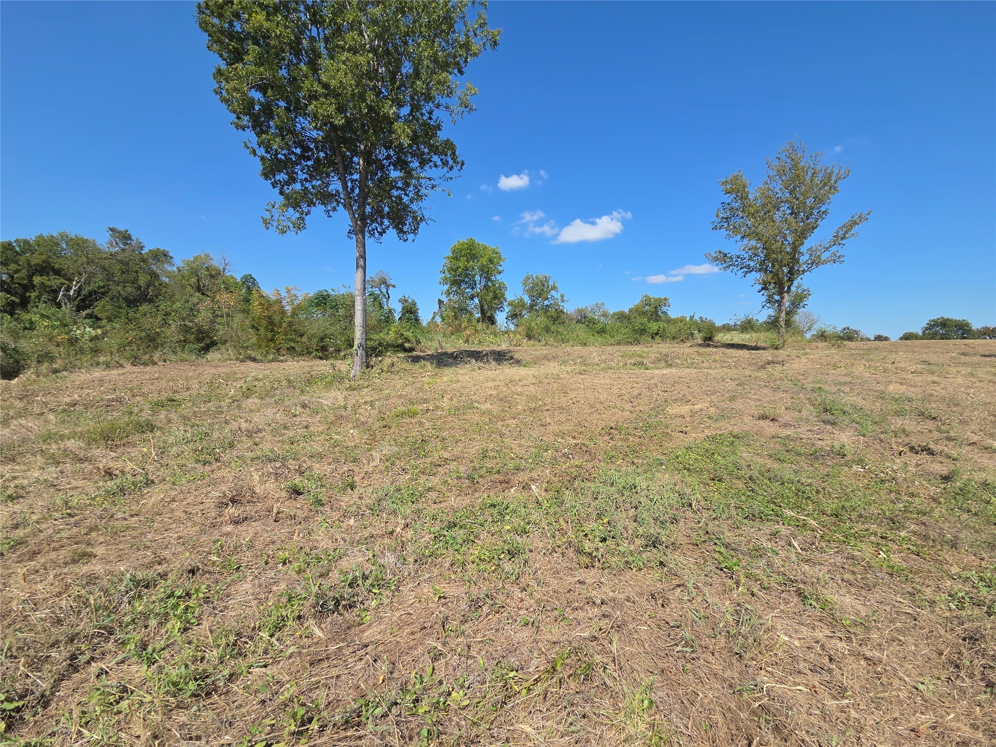 Lot 59 Bridgewater Boulevard