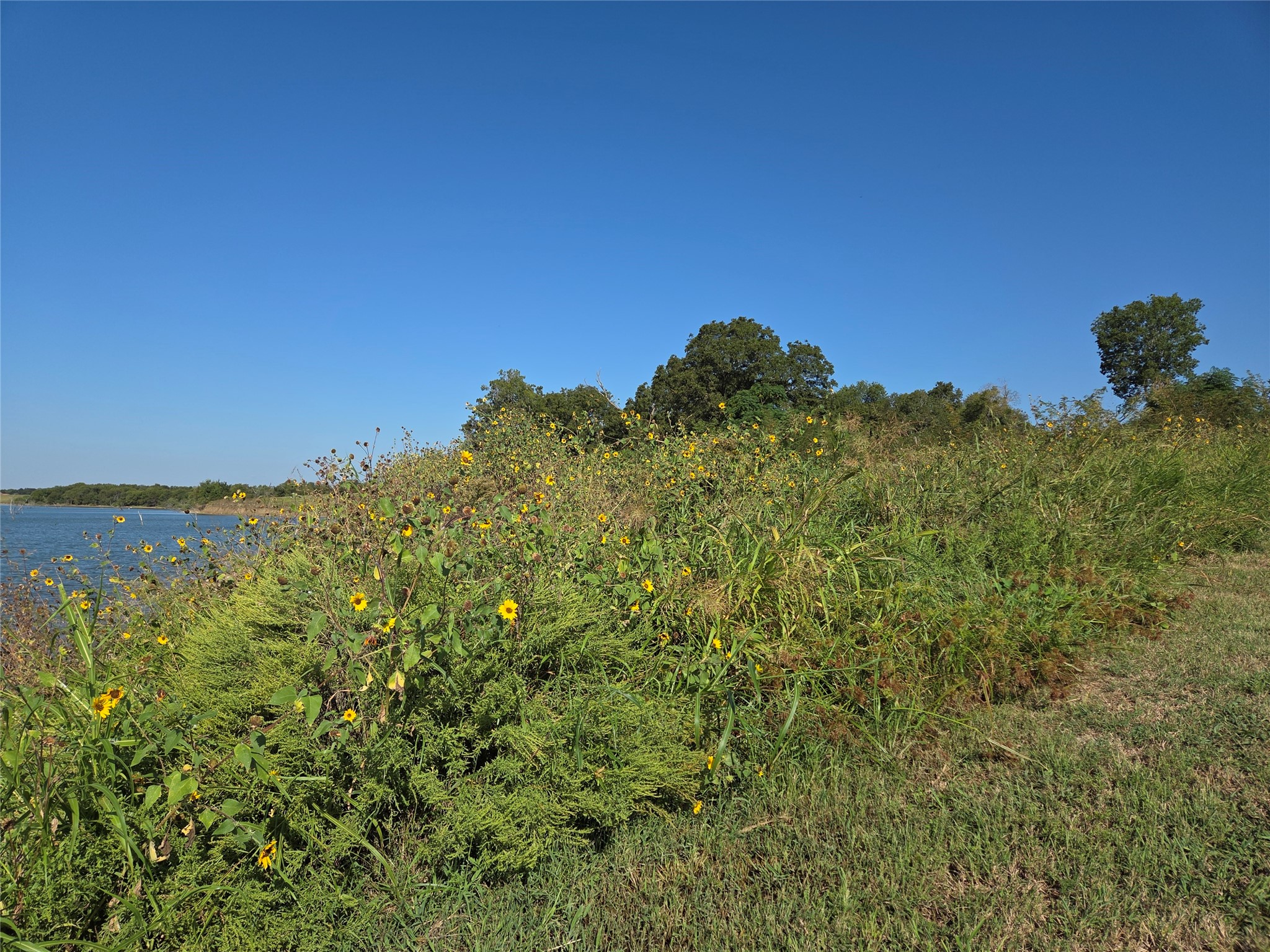 Lot 59 Bridgewater Boulevard