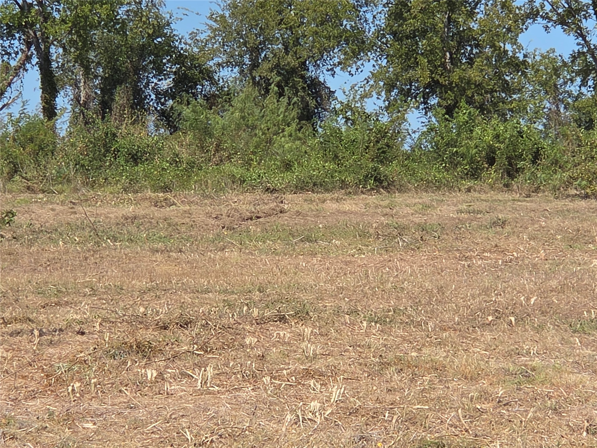 Lot 59 Bridgewater Boulevard