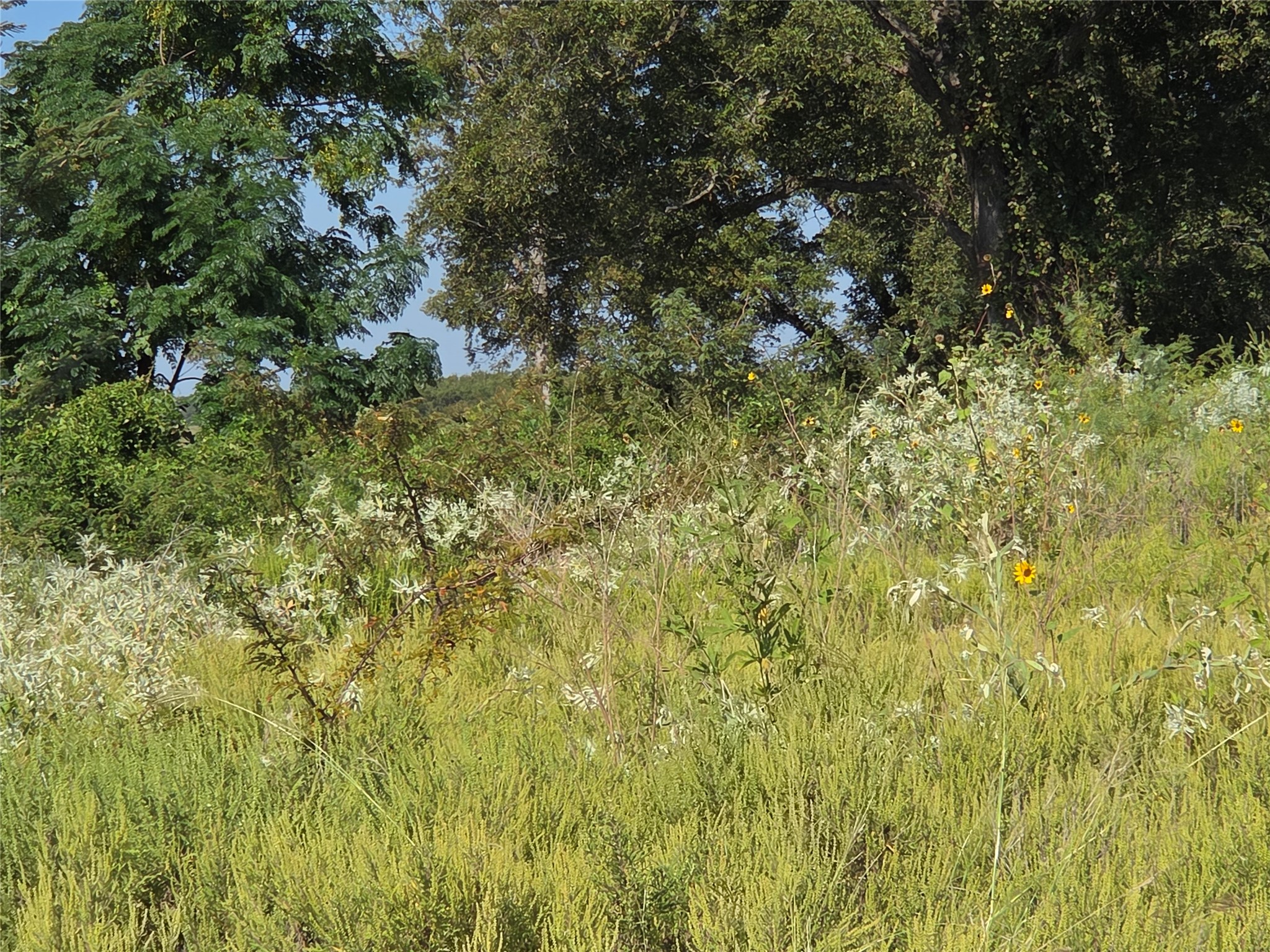 Lot 59 Bridgewater Boulevard