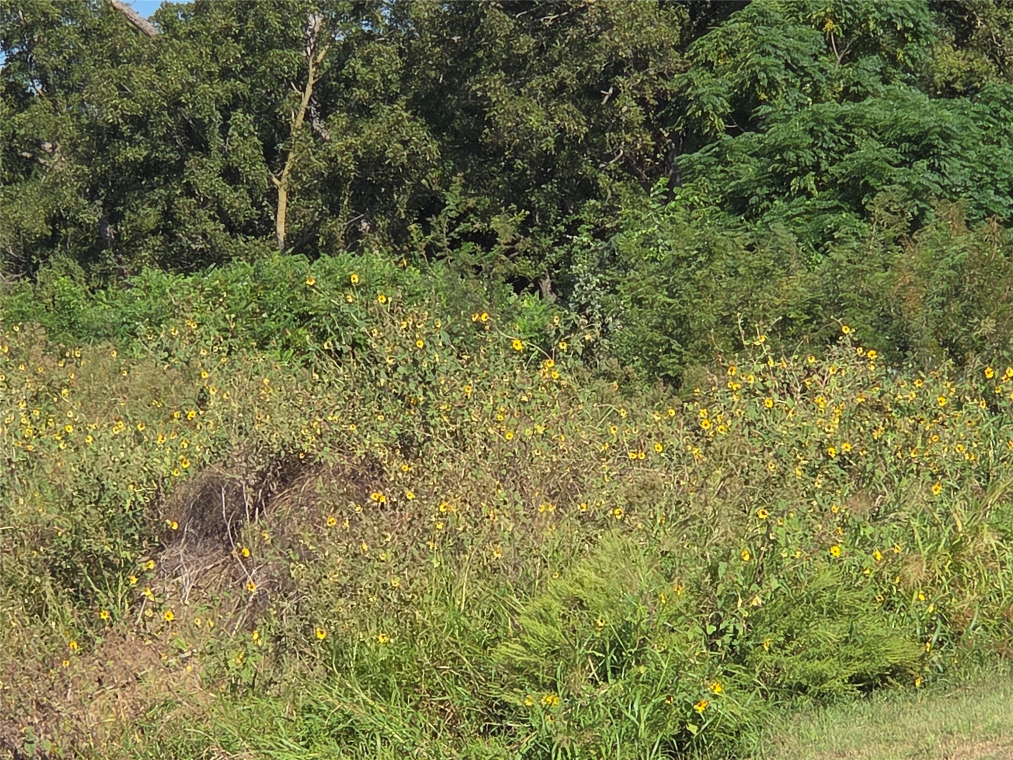 Lot 59 Bridgewater Boulevard