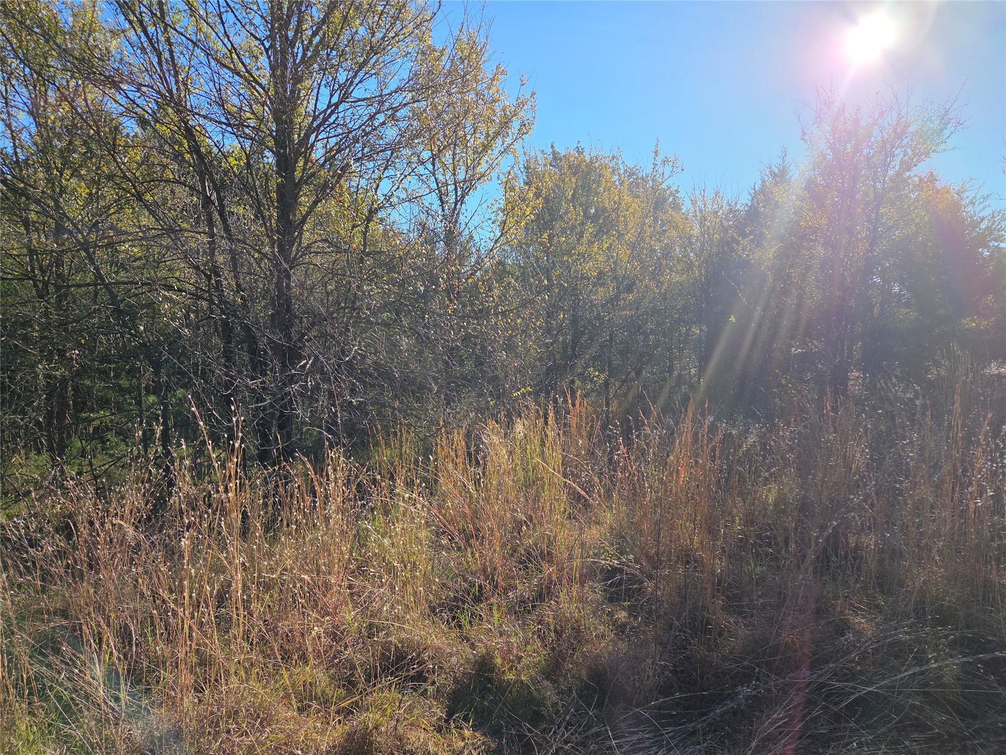 Lot 20 Sunrise W