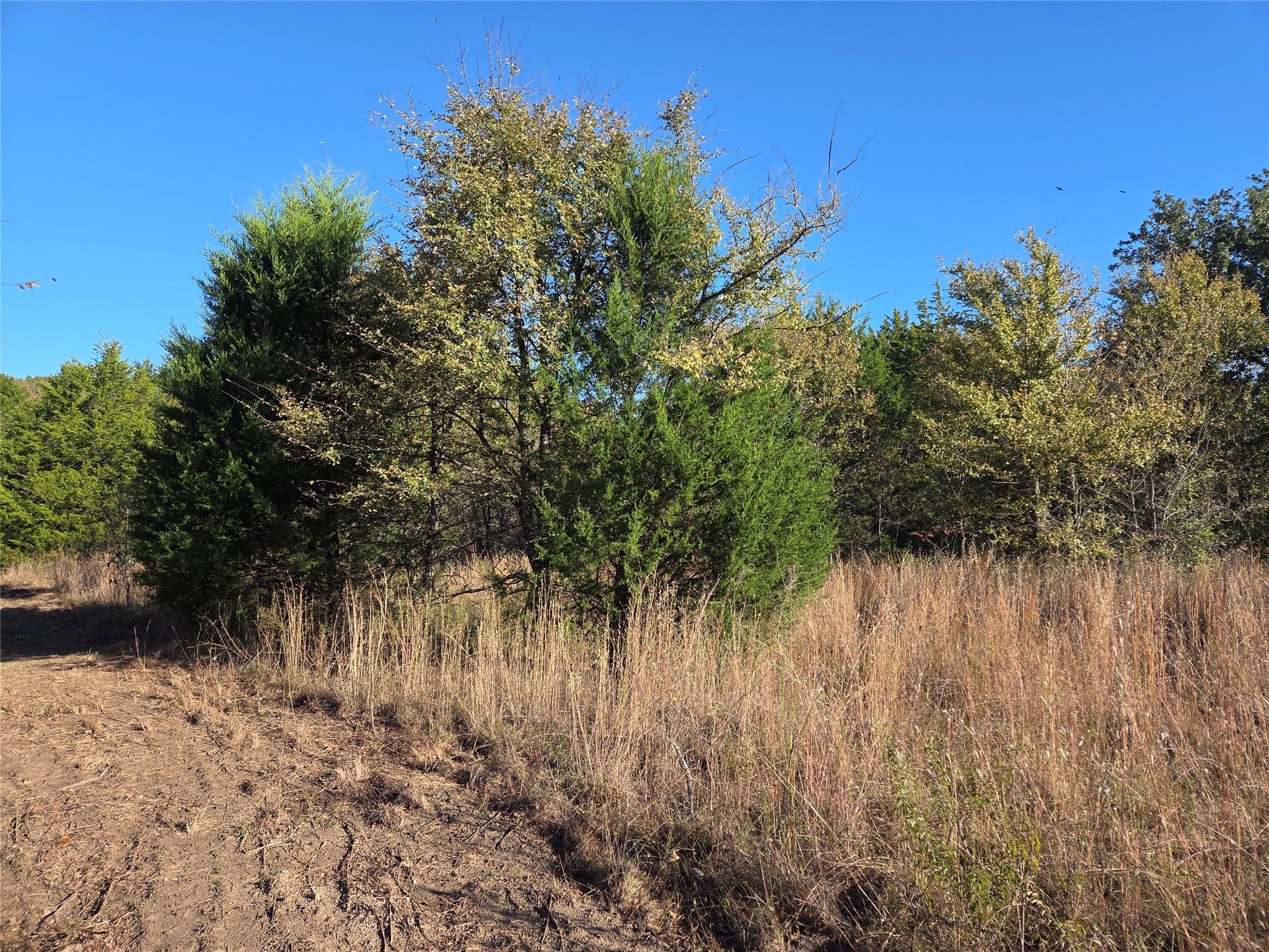 Lot 20 Sunrise W