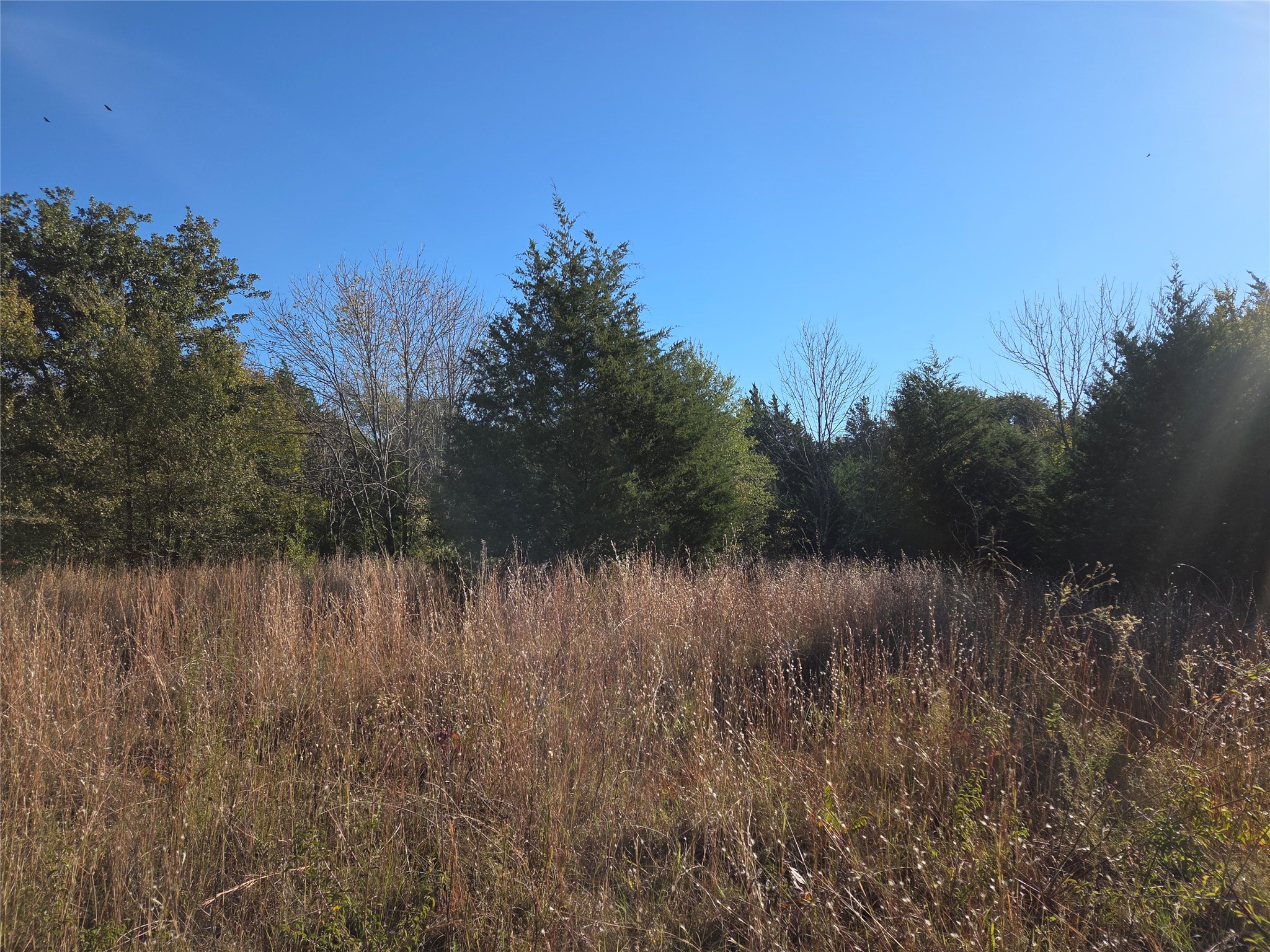 Lot 20 Sunrise W