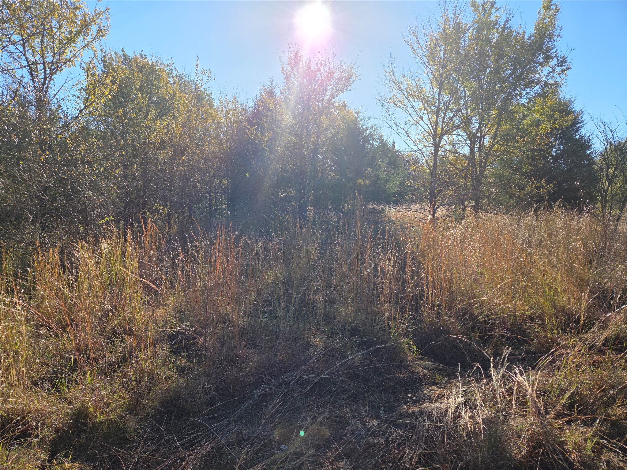 Lot 20 Sunrise W