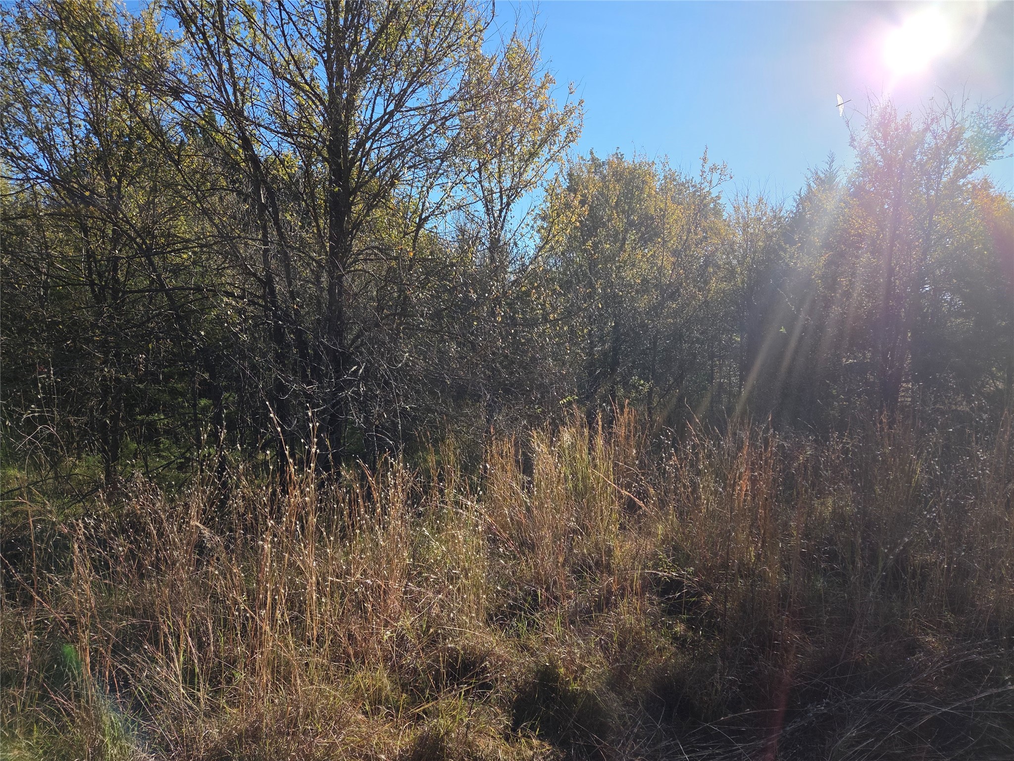 Lot 20 Sunrise W