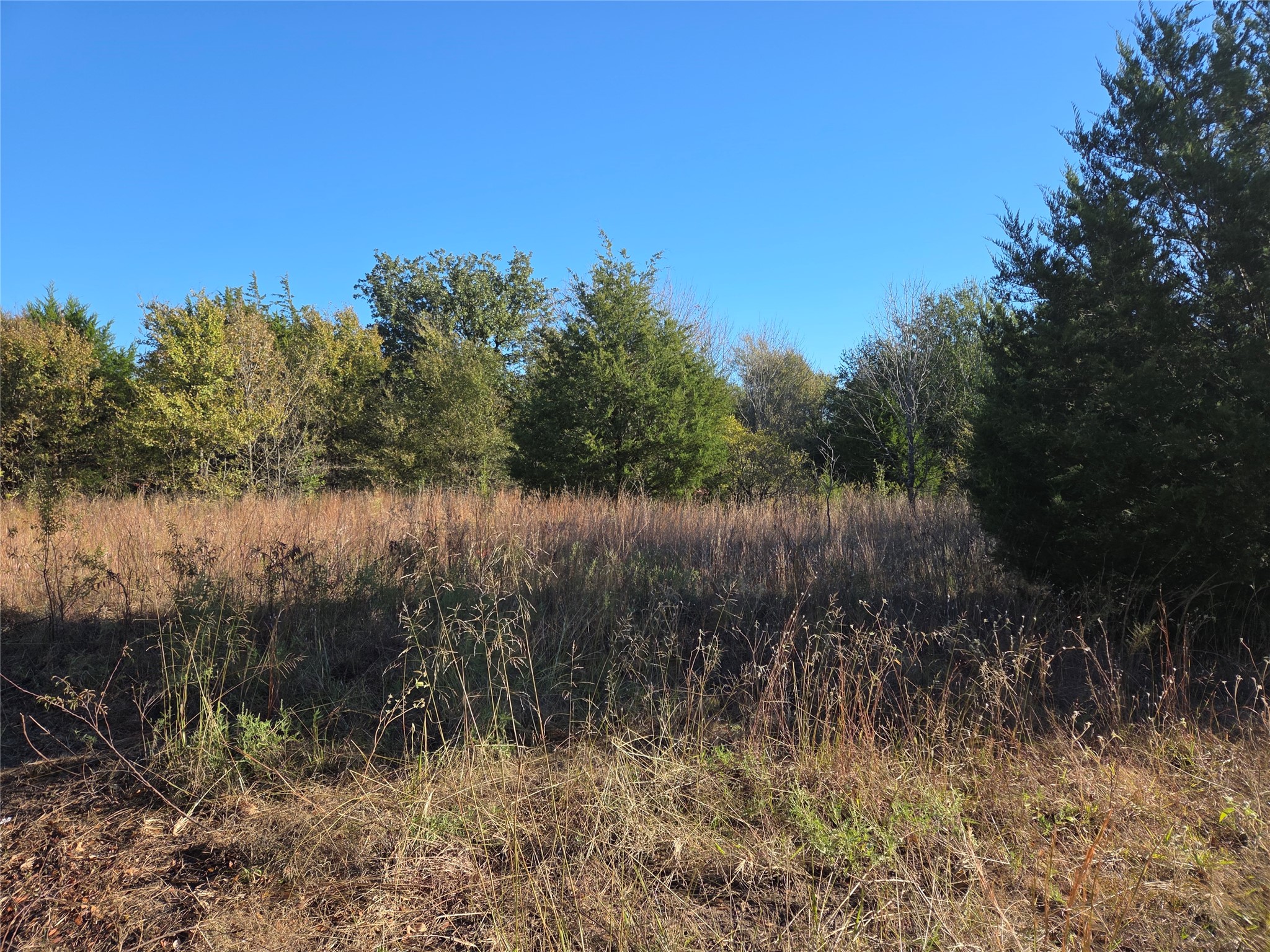 Lot 20 Sunrise W