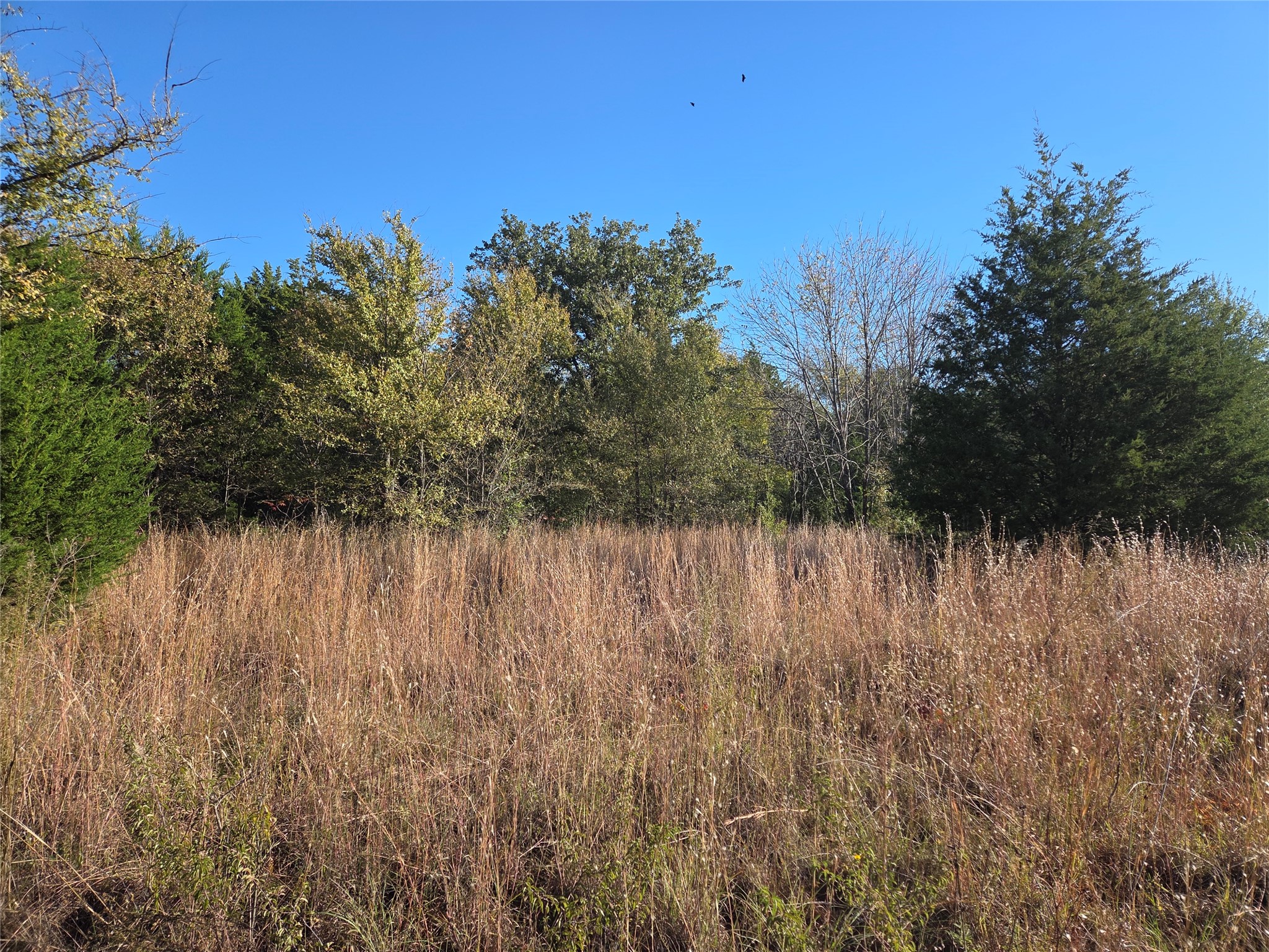 Lot 20 Sunrise W