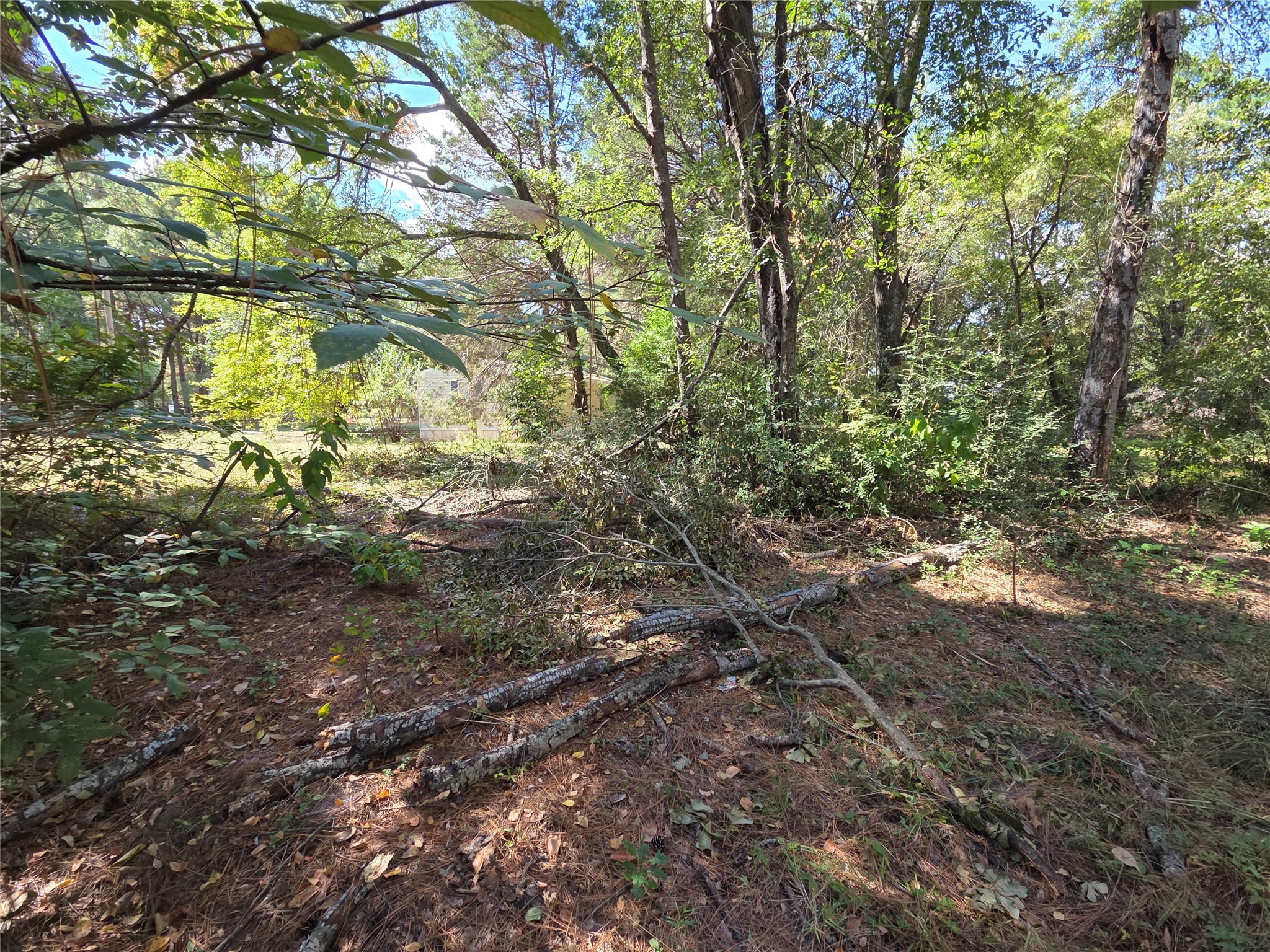 180 Cedar Drive