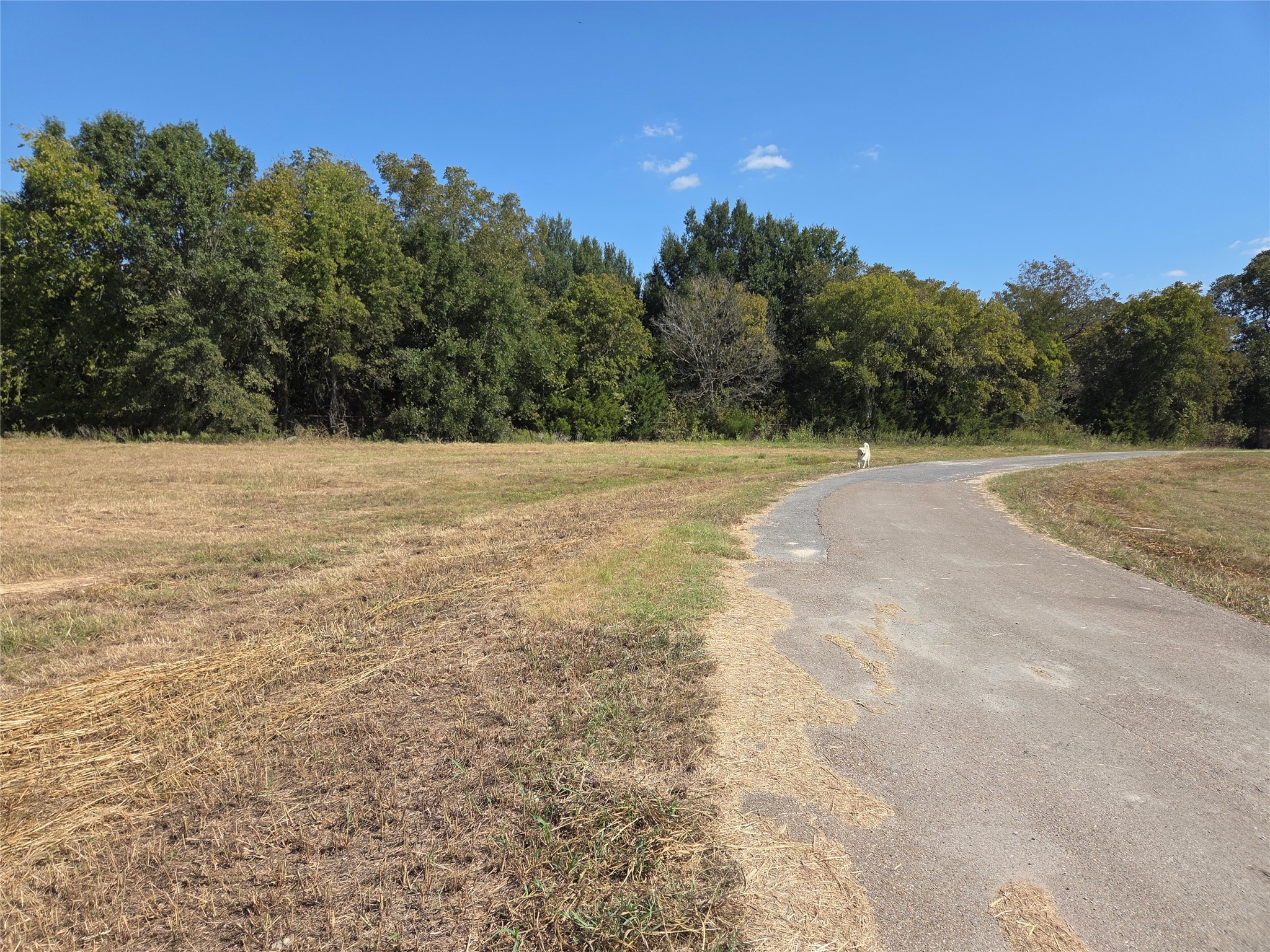Lot 10 Oasis Drive