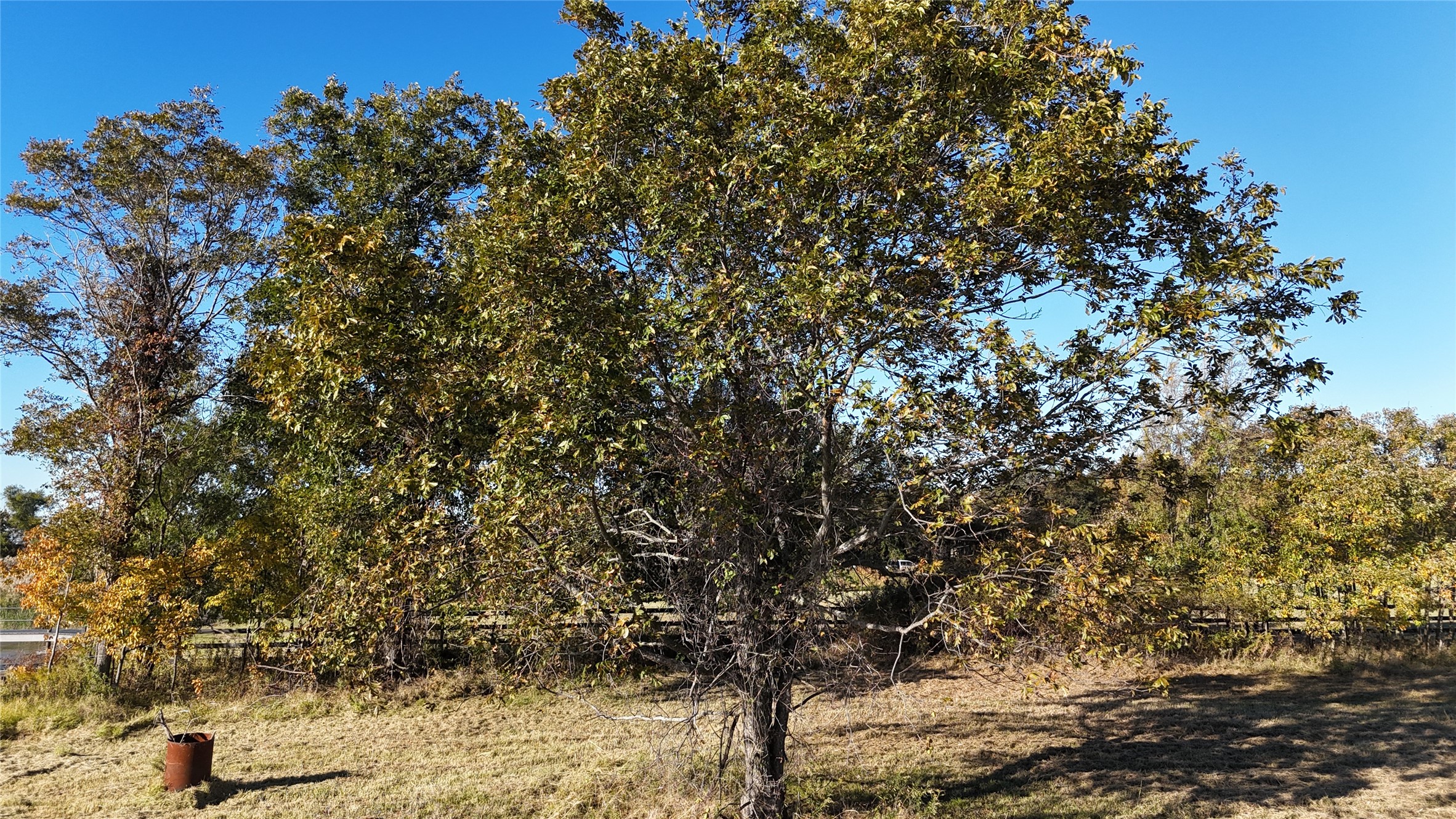 1865 County Road 2160