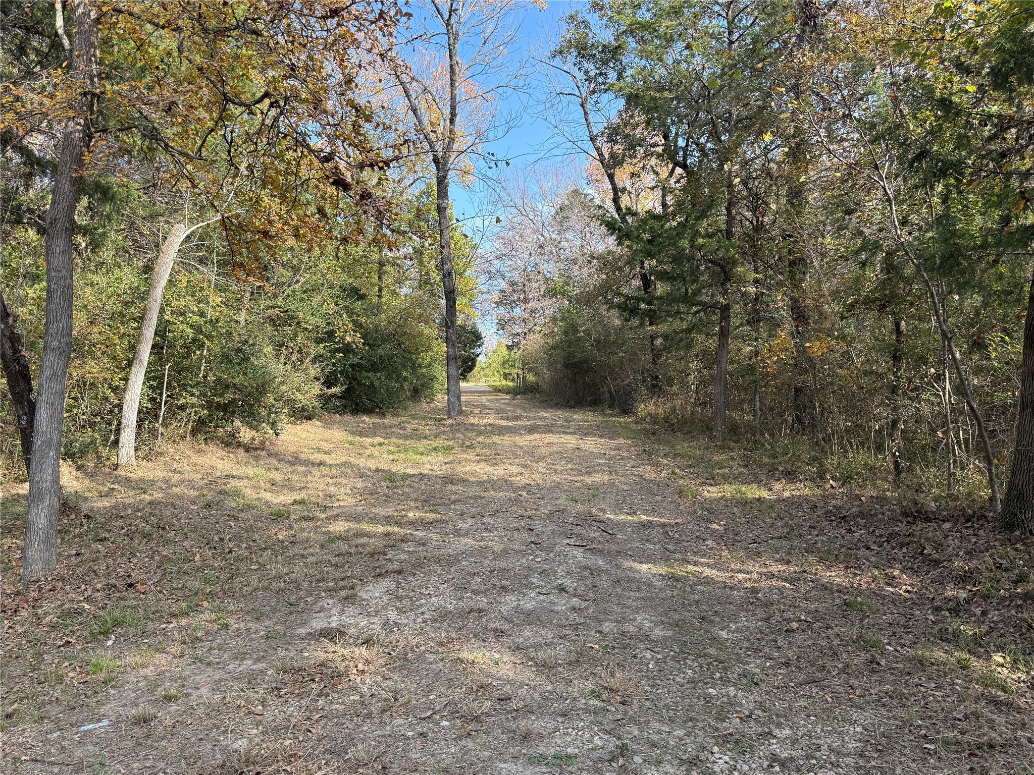 Lot 23R SE County Road 3258