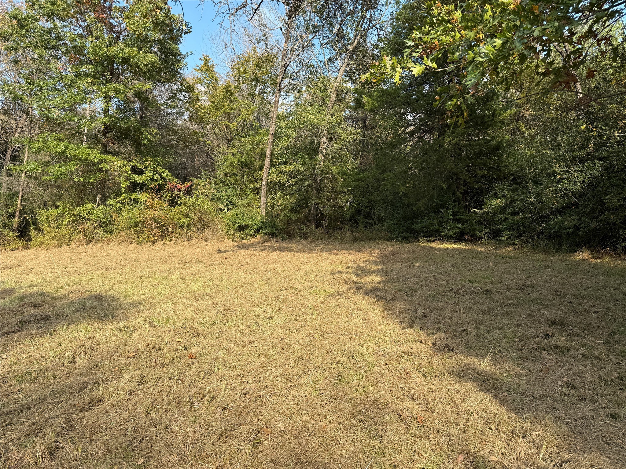 Lot 23R SE County Road 3258