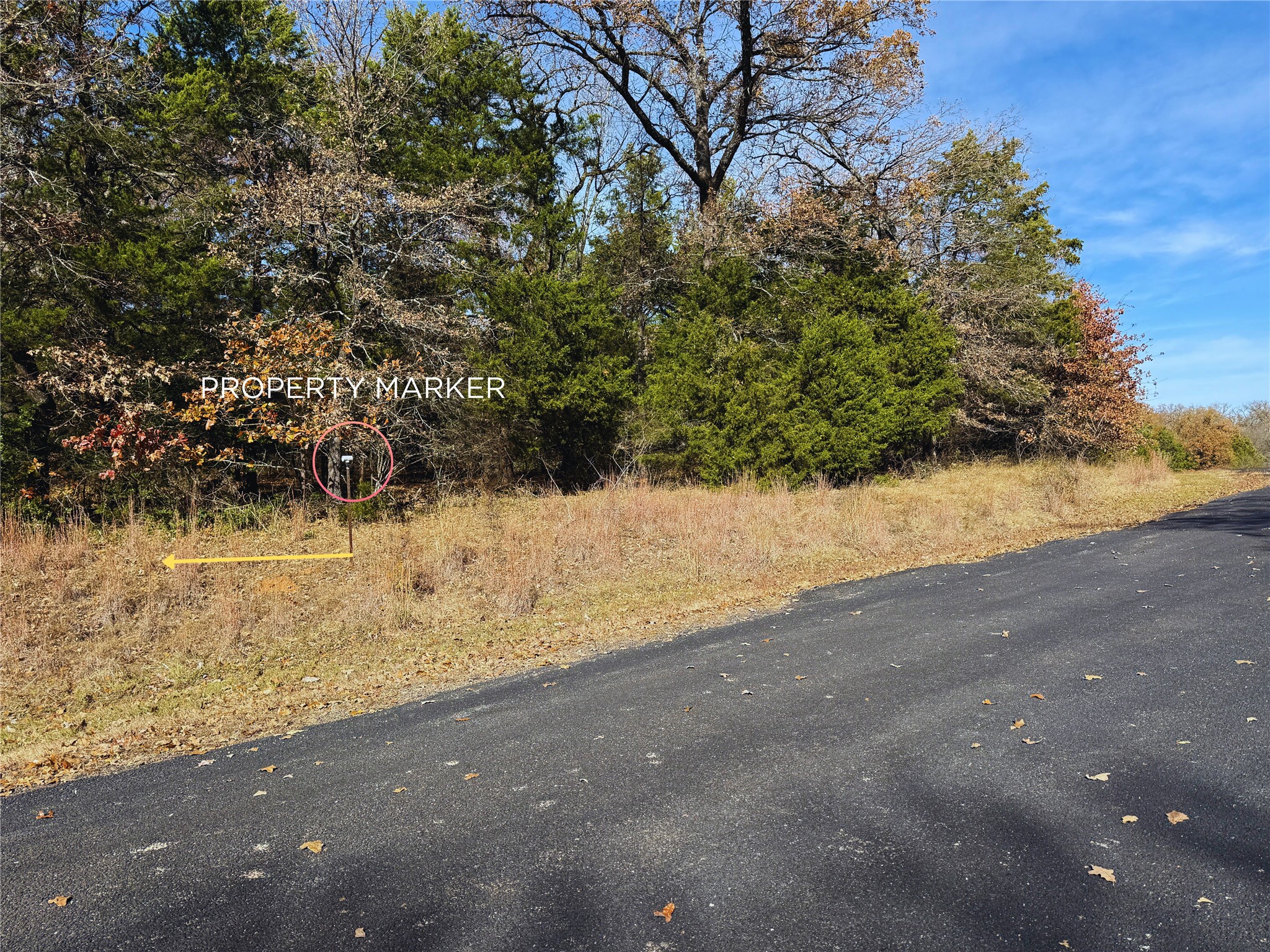 131 Lincoln Drive