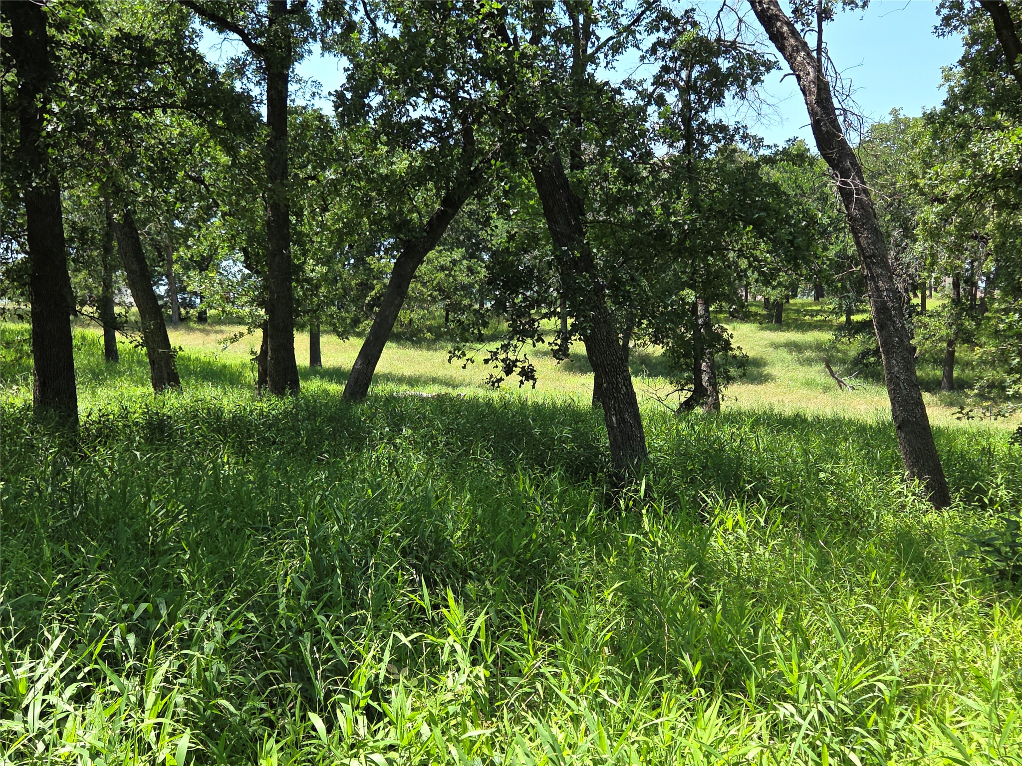 Lot 15R SE County Rd 2359b