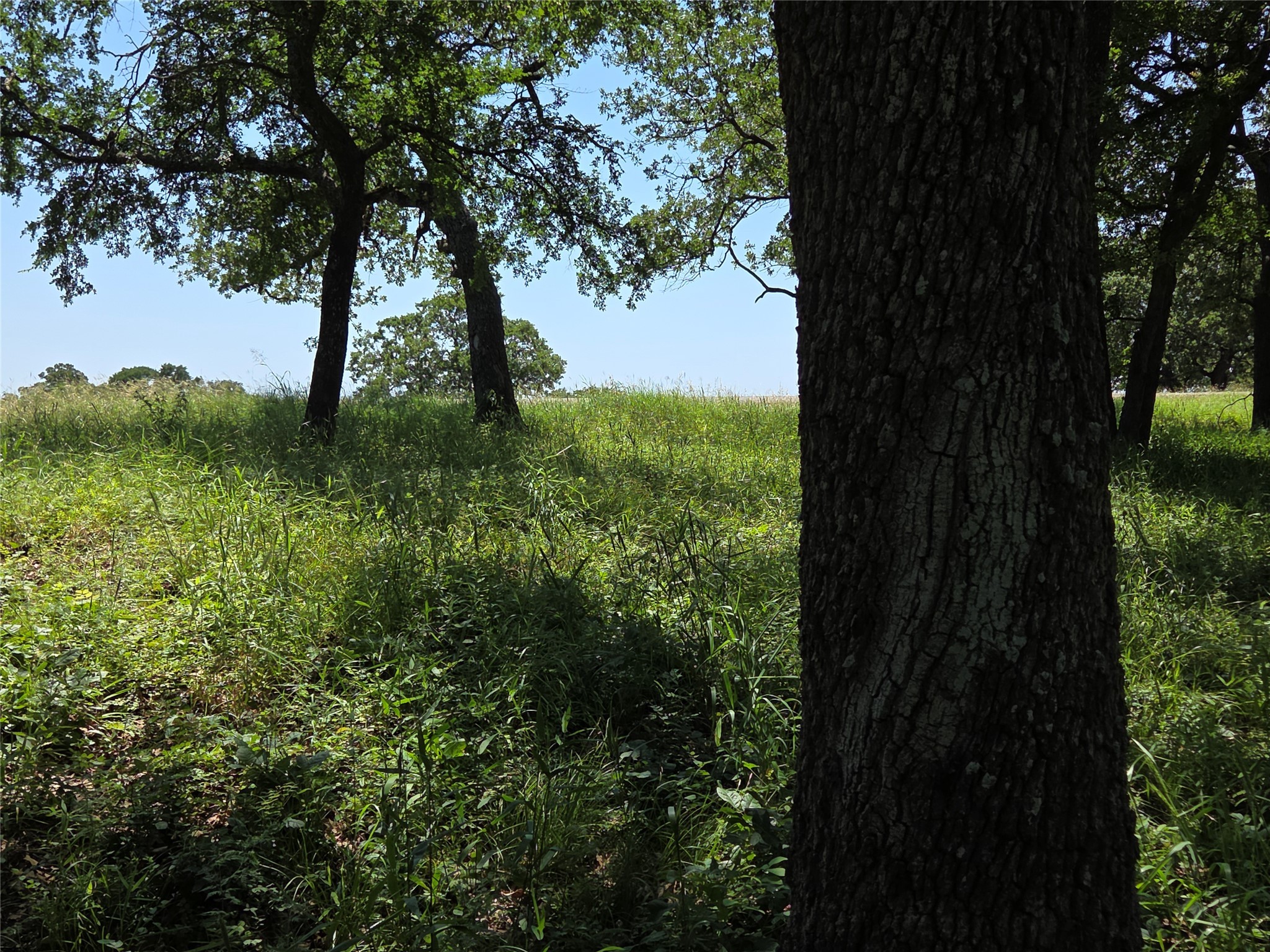 Lot 15R SE County Rd 2359b