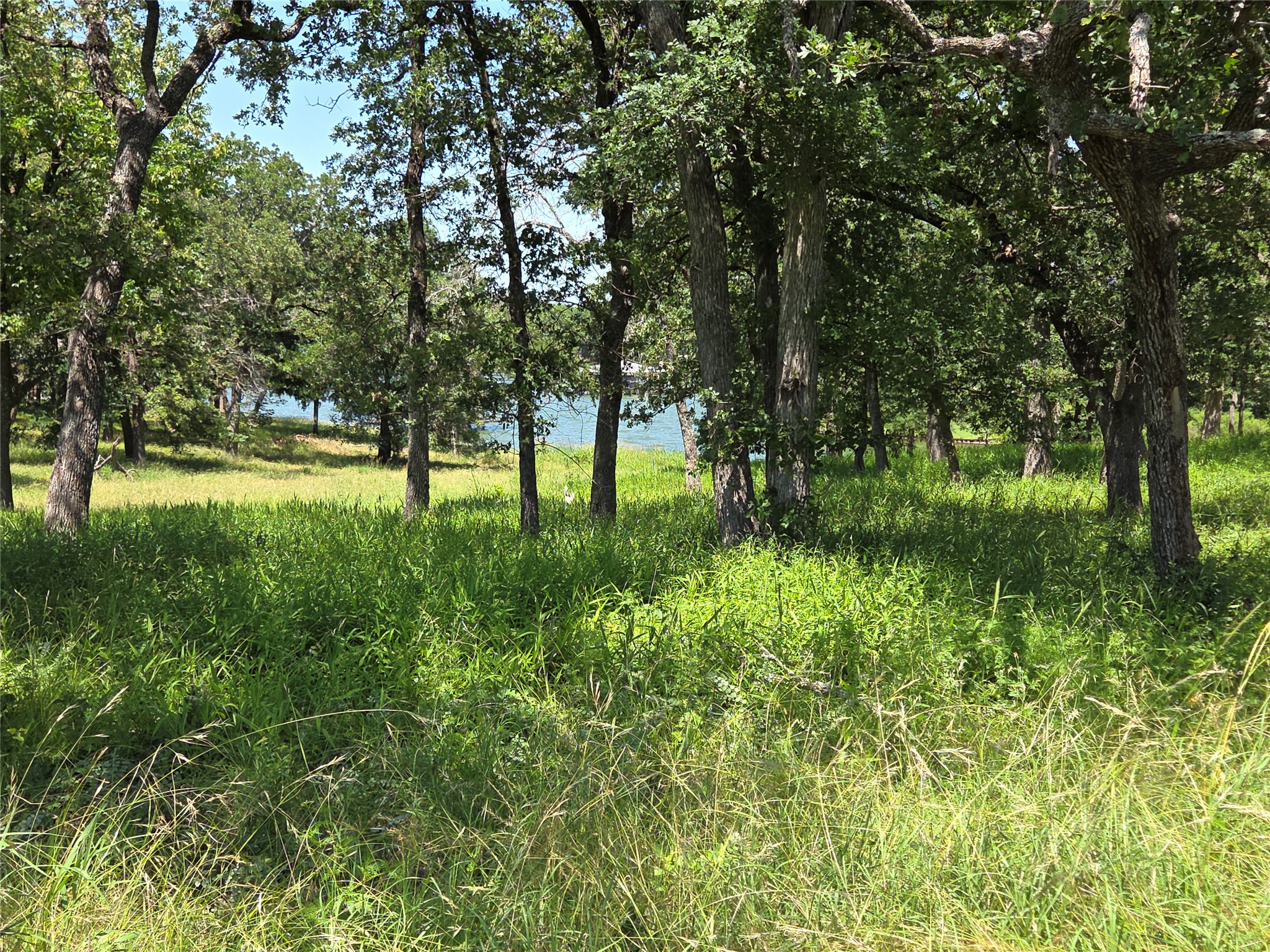 Lot 15R SE County Rd 2359b
