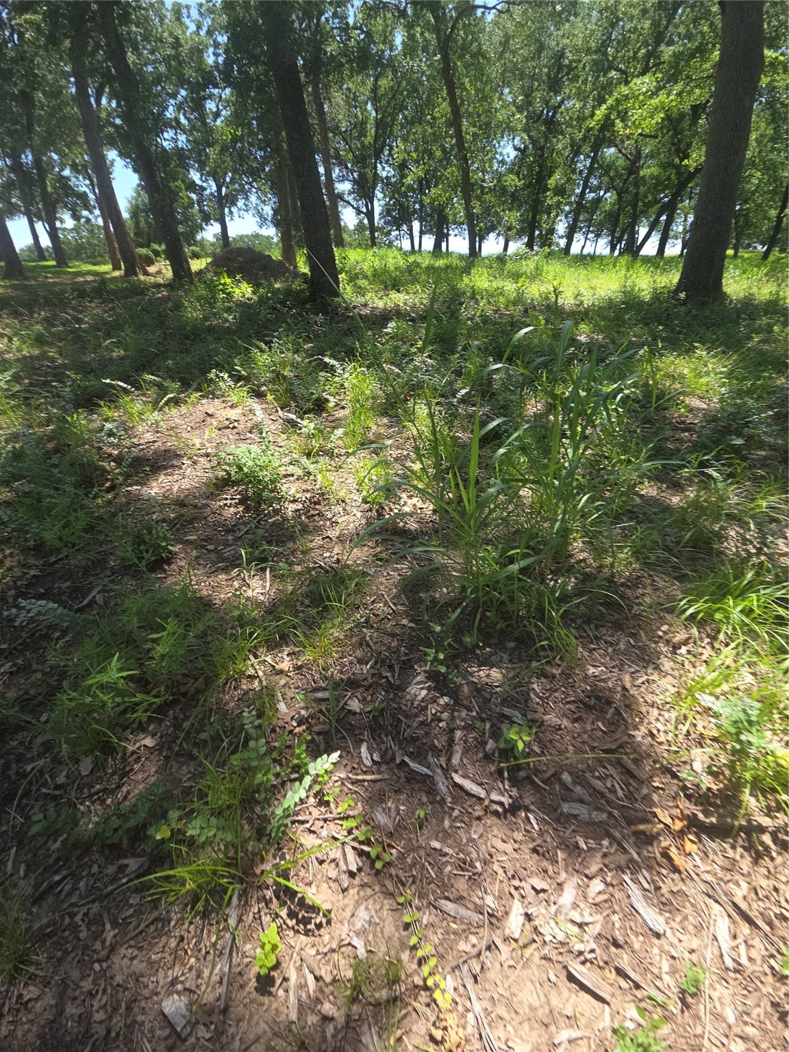 Lot 15R SE County Rd 2359b