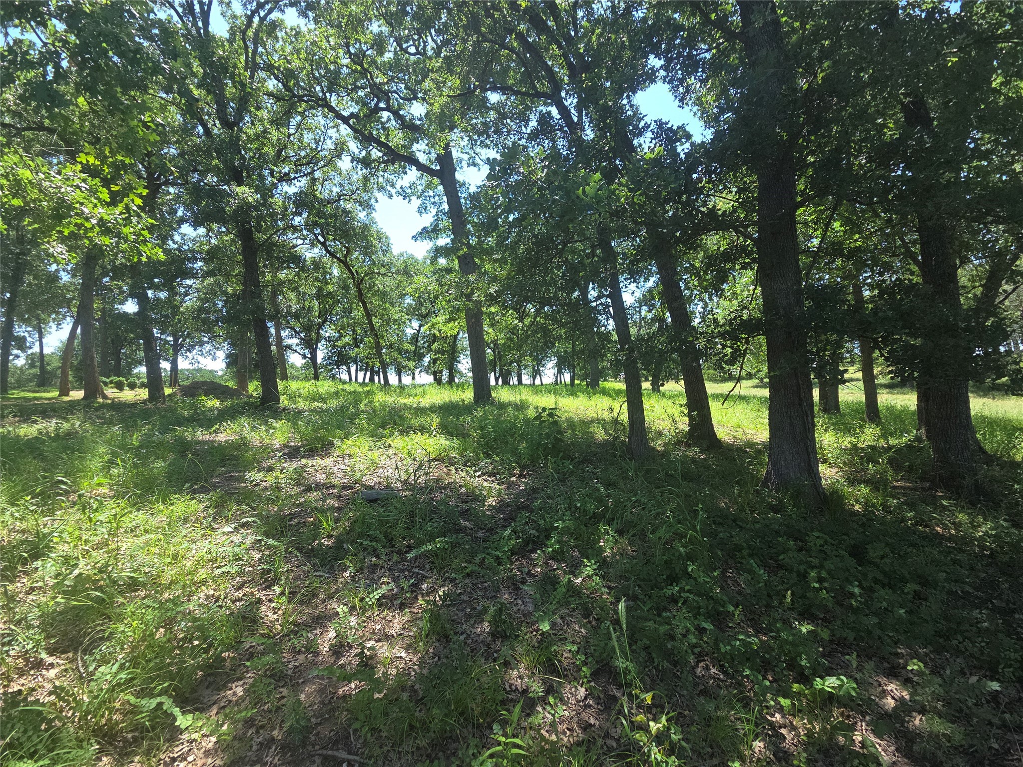 Lot 15R SE County Rd 2359b