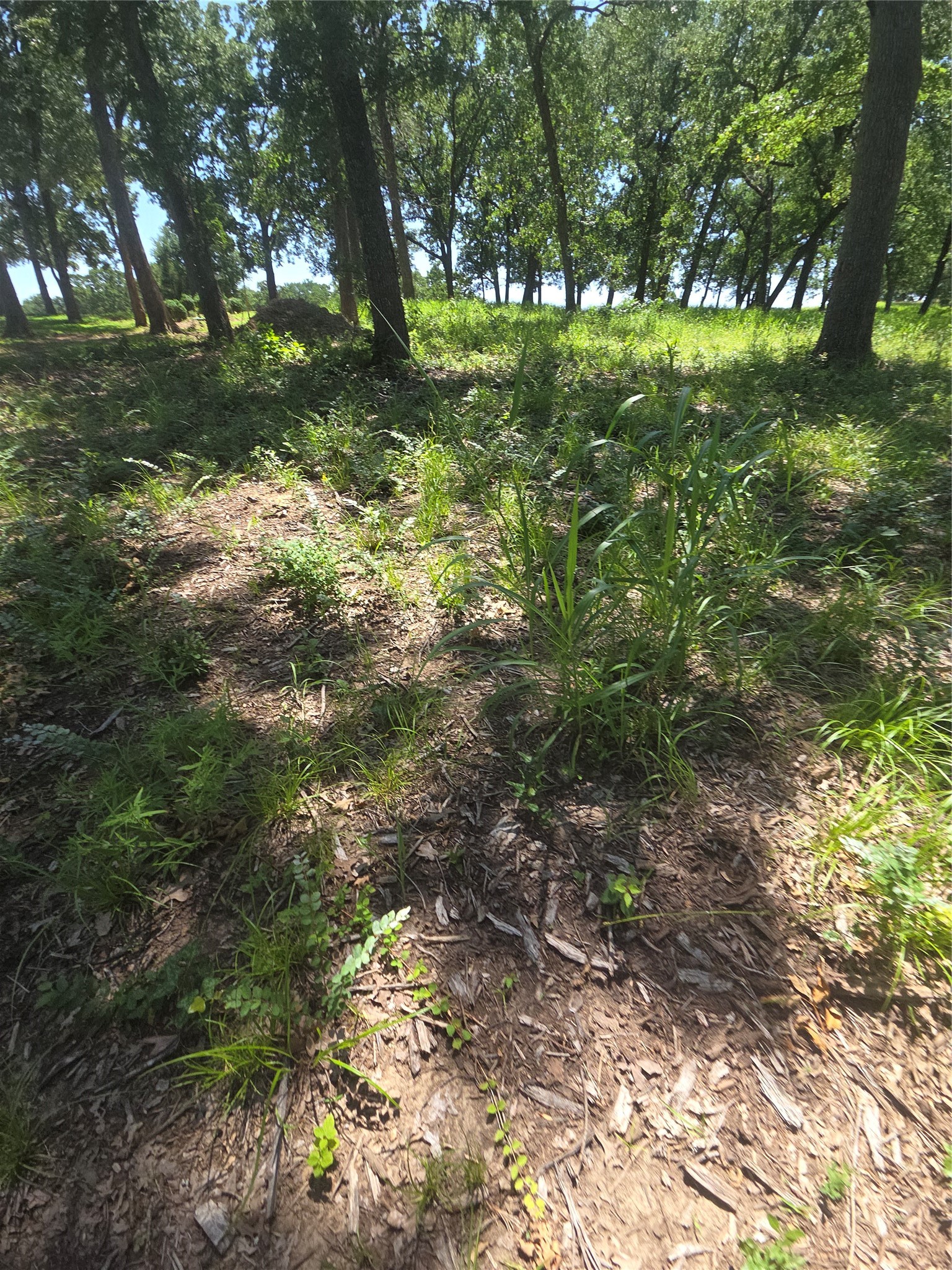 Lot 15R SE County Rd 2359b