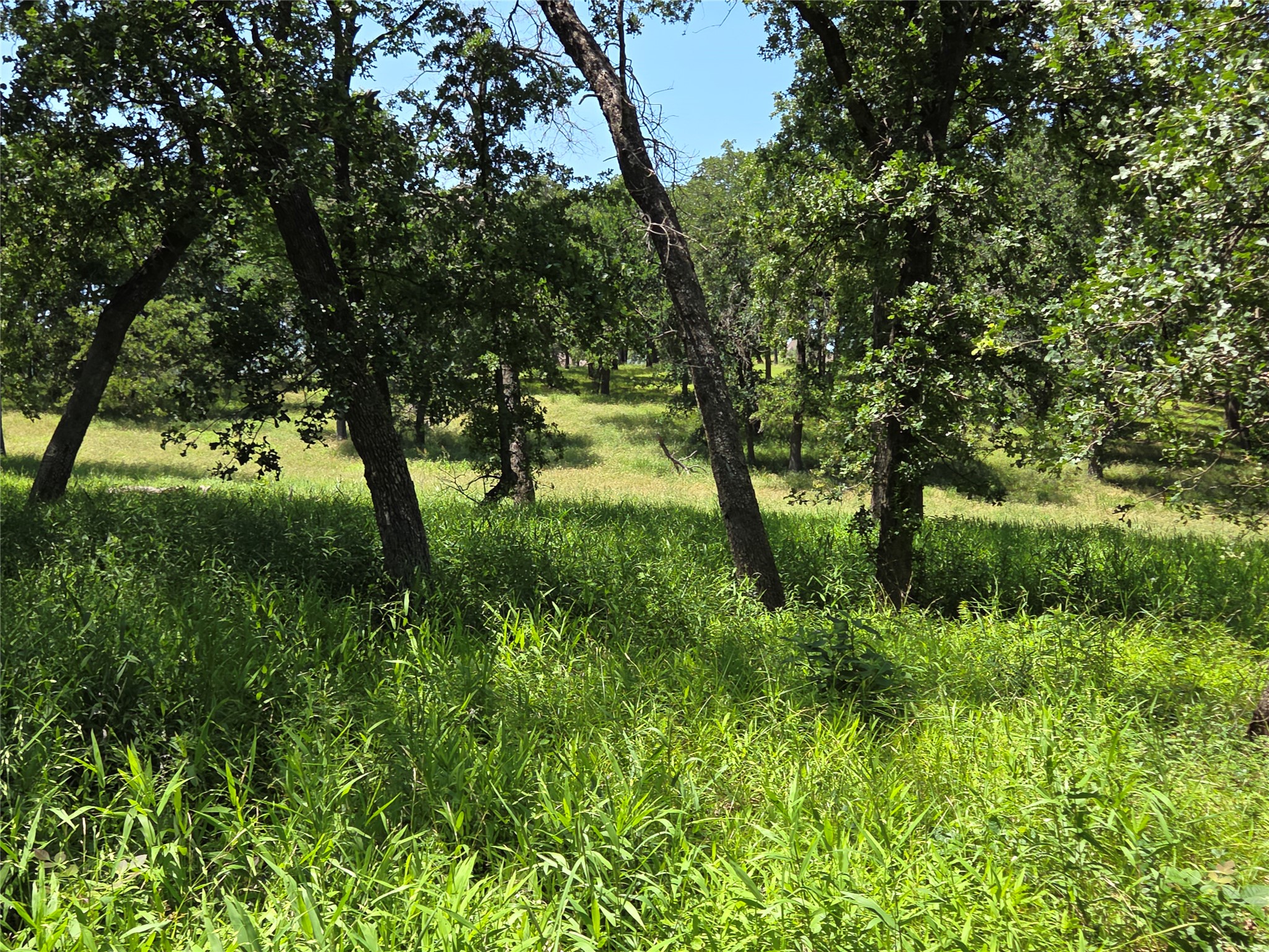 Lot 15R SE County Rd 2359b