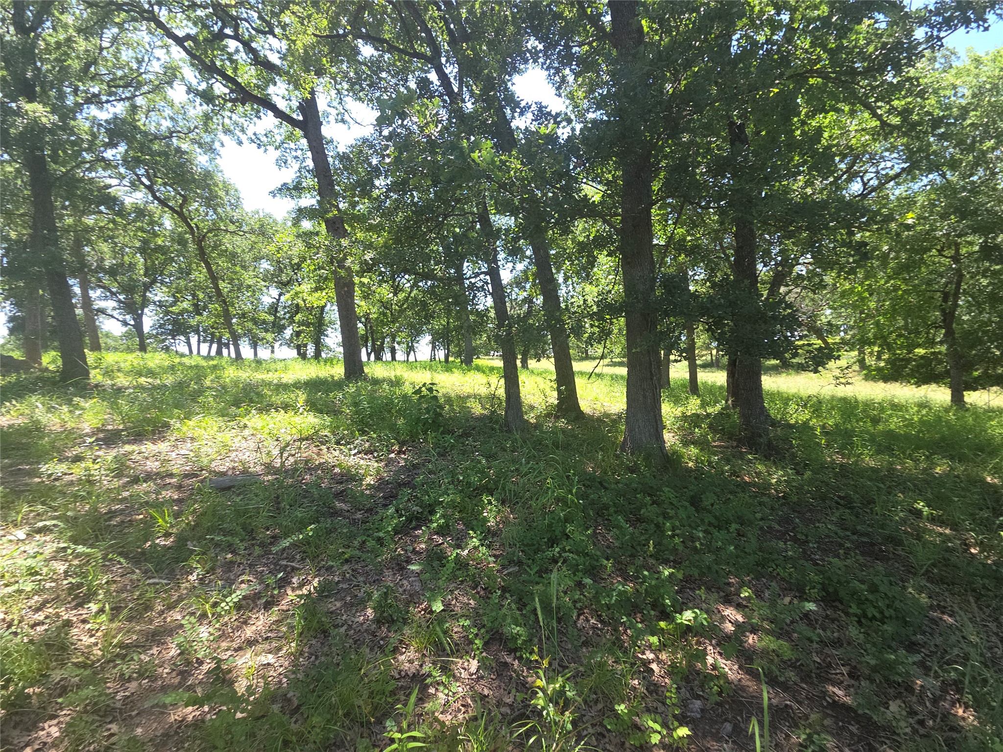 Lot 15R SE County Rd 2359b