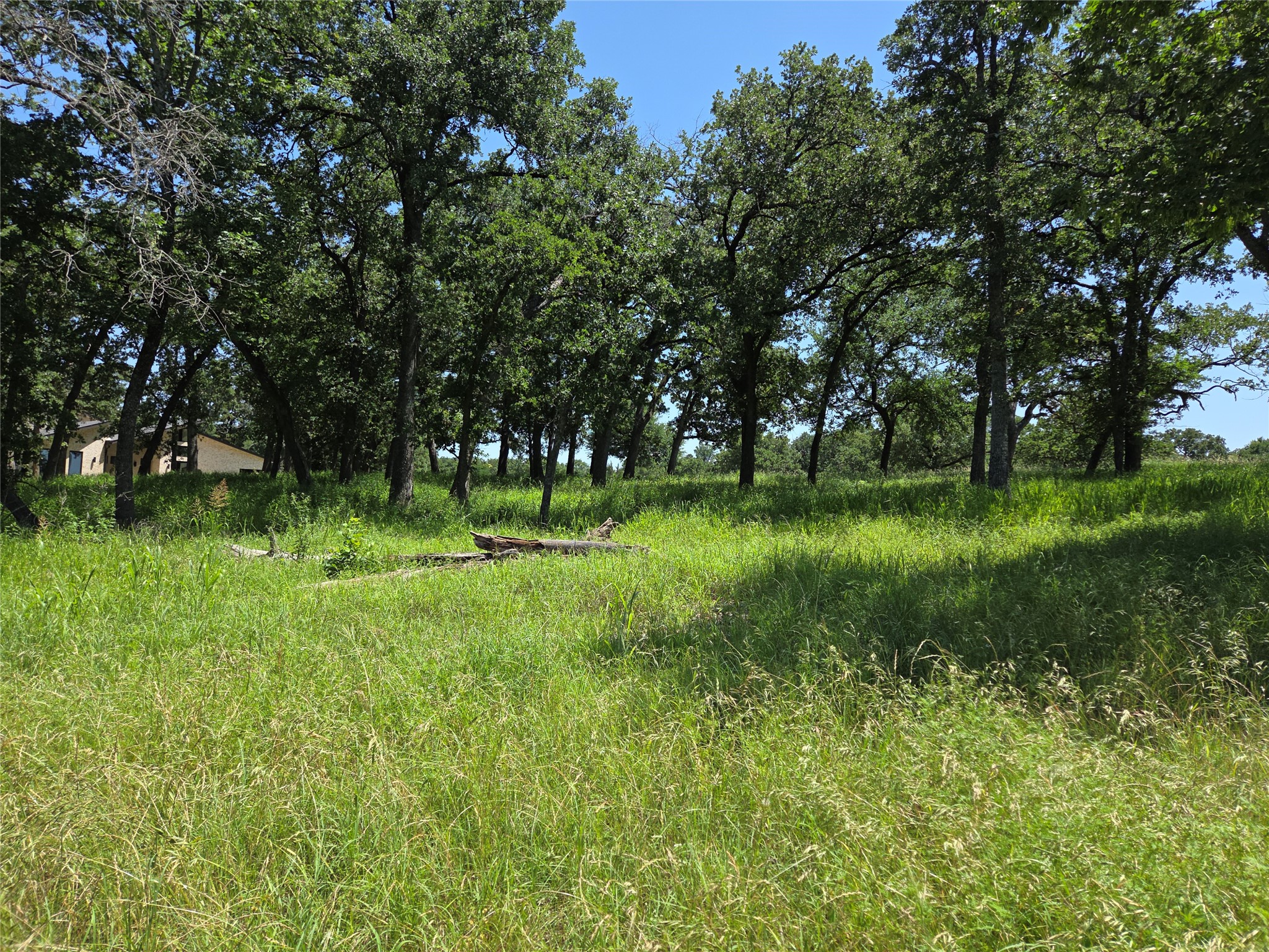 Lot 15R SE County Rd 2359b