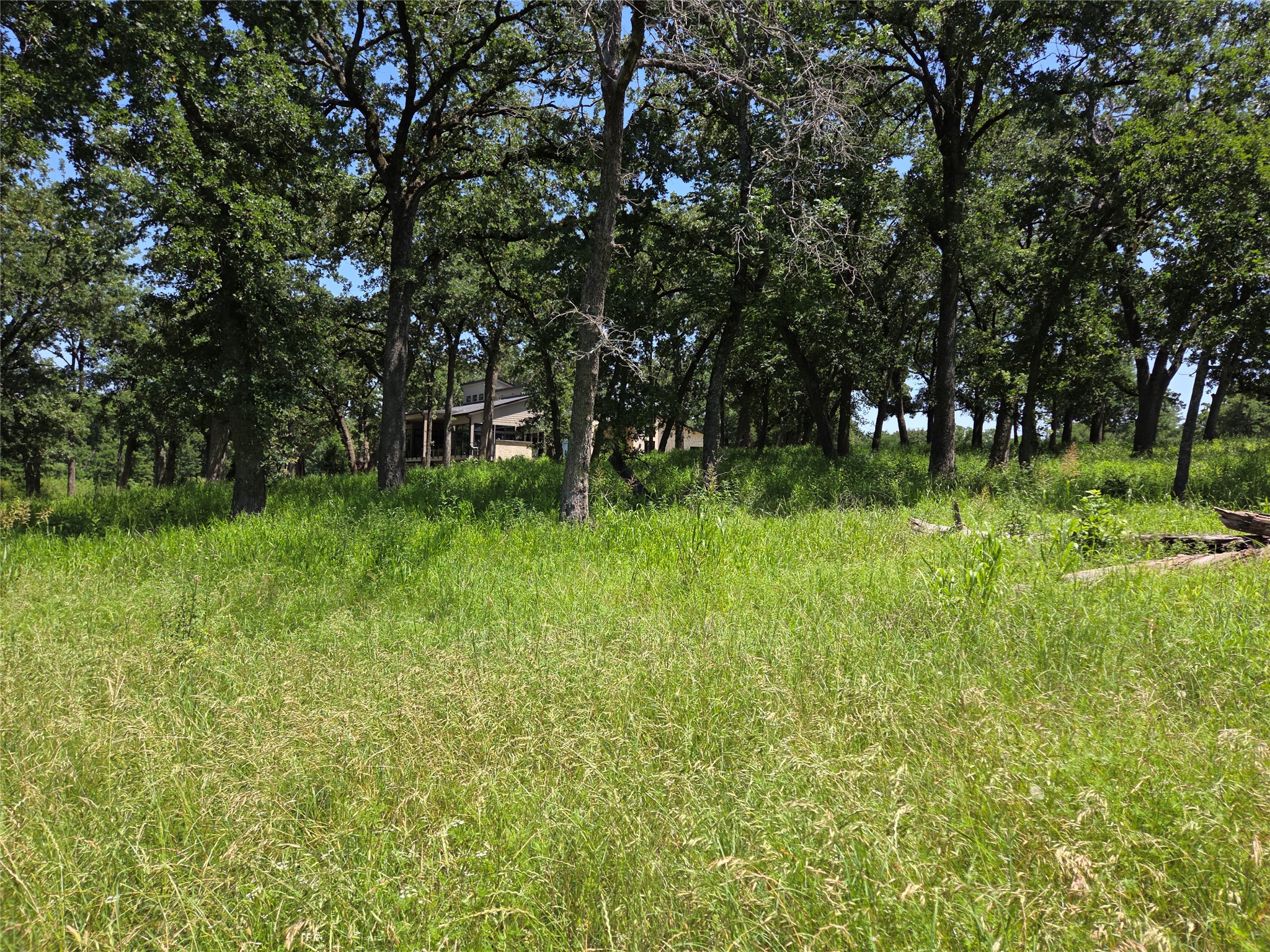Lot 15R SE County Rd 2359b