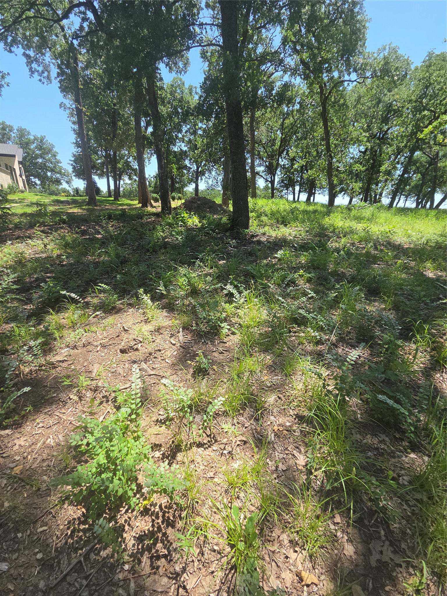 Lot 15R SE County Rd 2359b