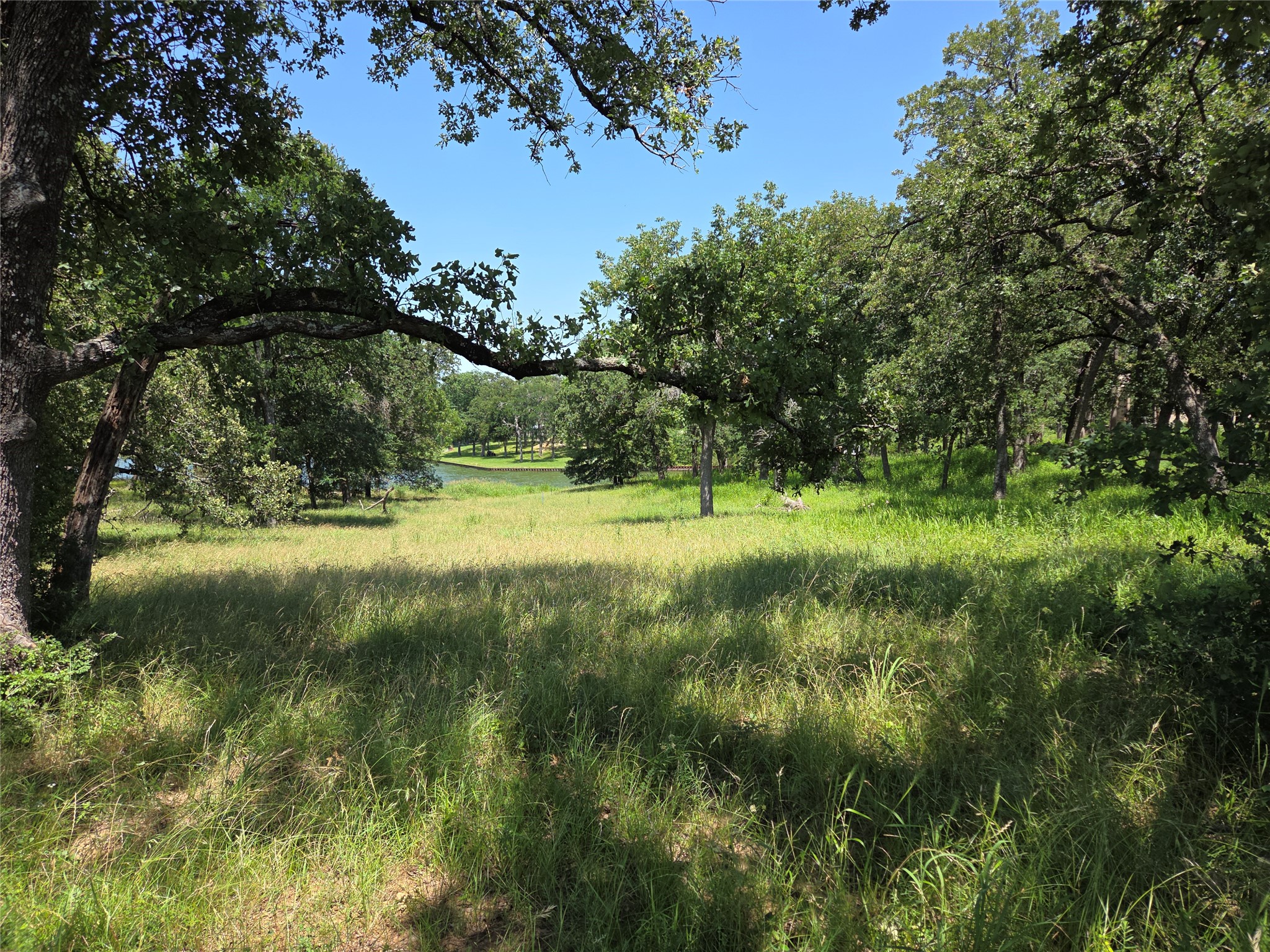 Lot 15R SE County Rd 2359b