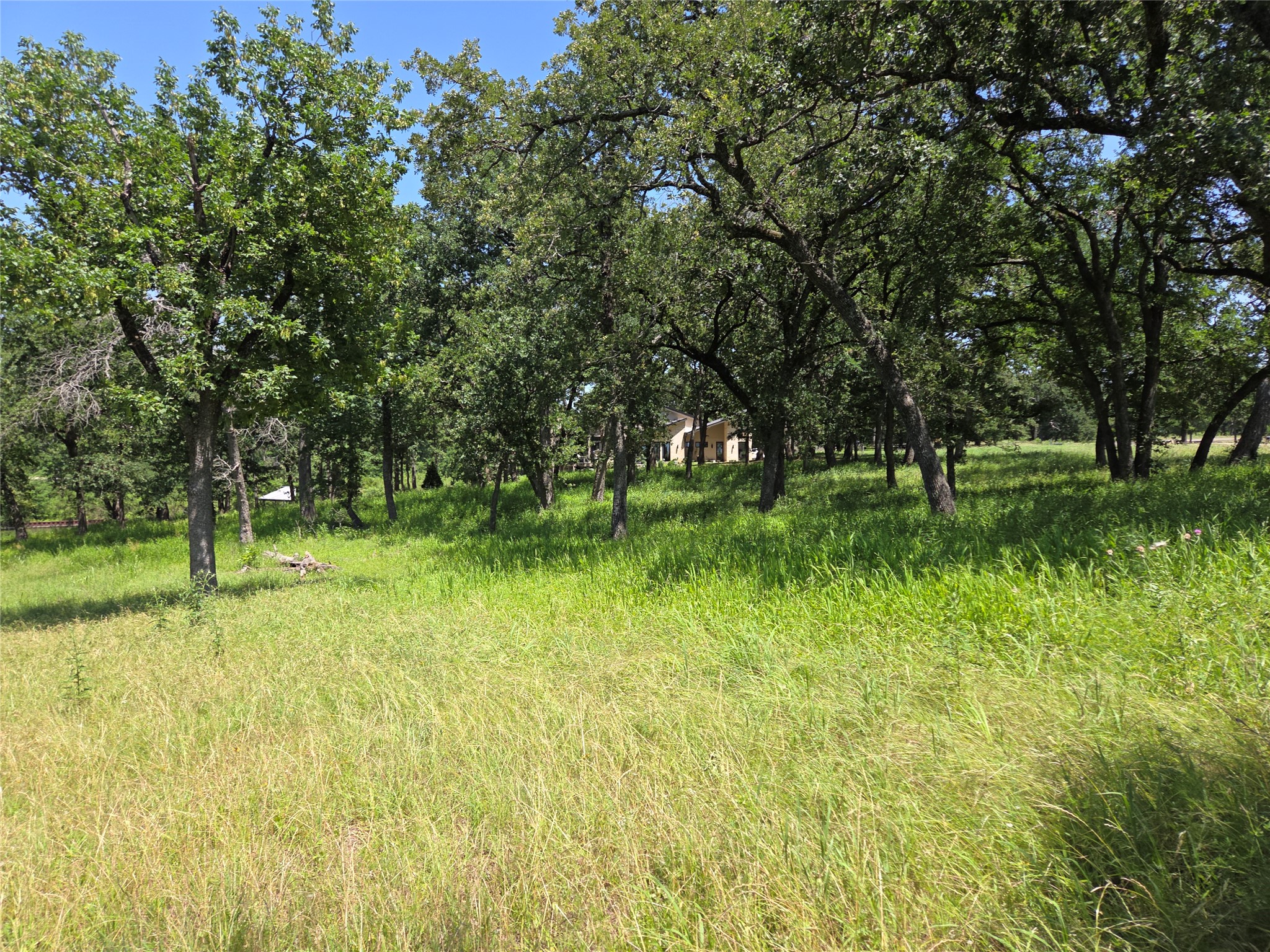 Lot 15R SE County Rd 2359b