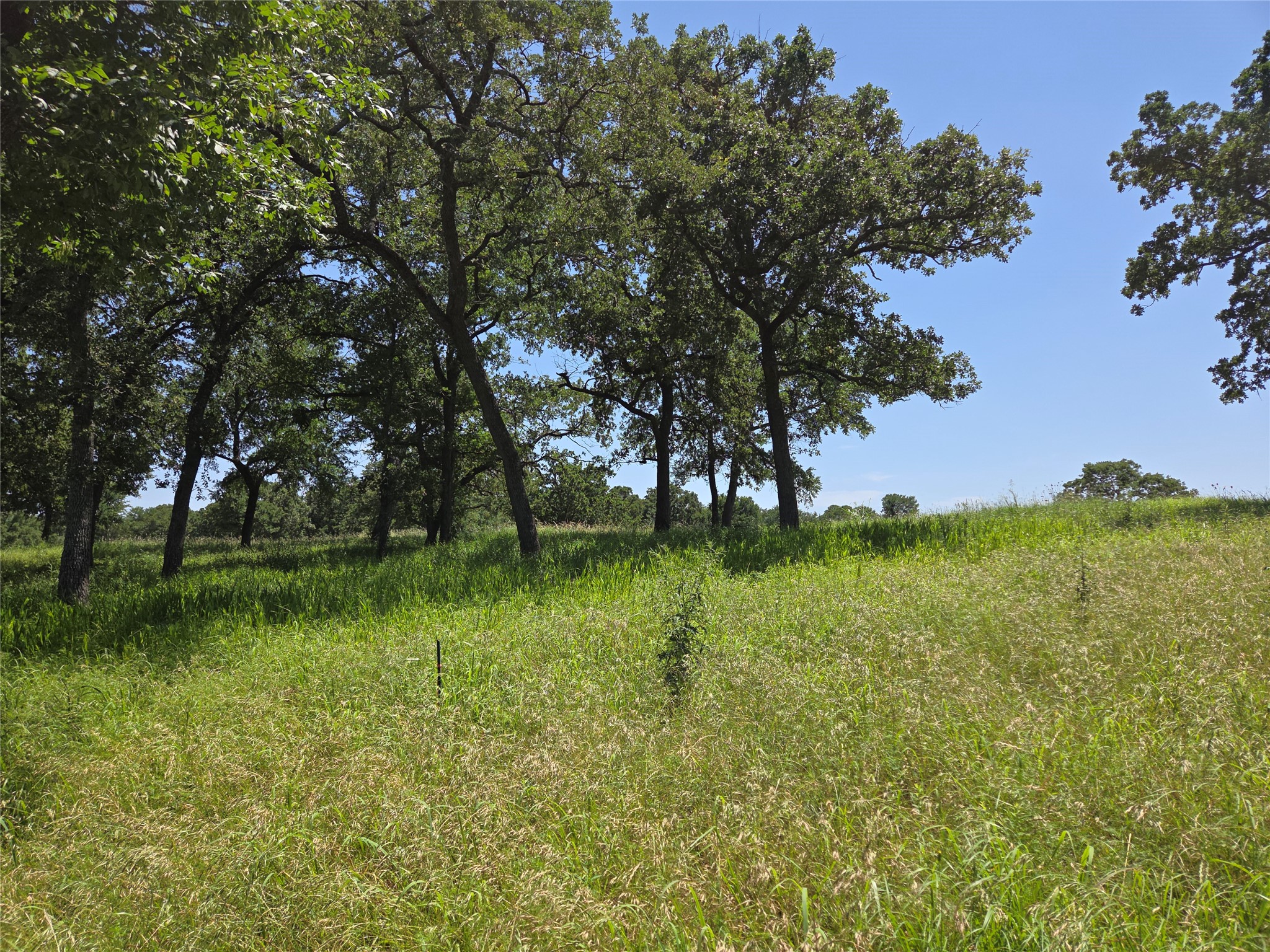 Lot 15R SE County Rd 2359b