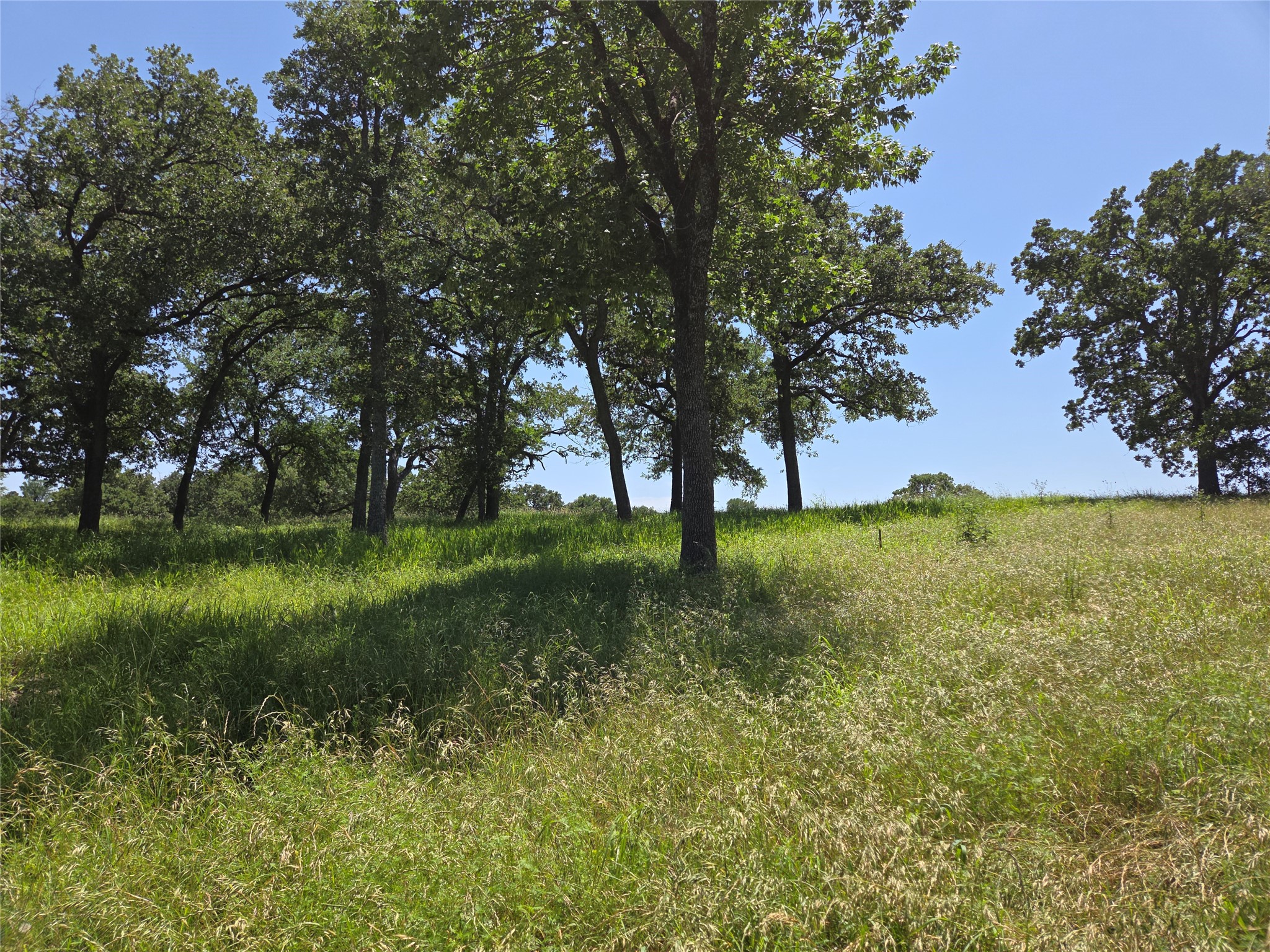 Lot 15R SE County Rd 2359b