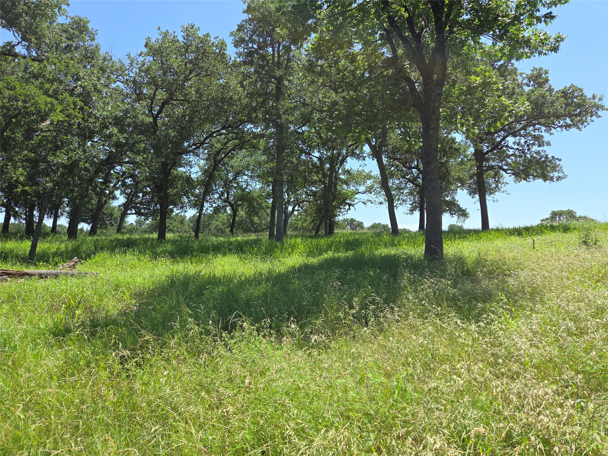 Lot 15R SE County Rd 2359b